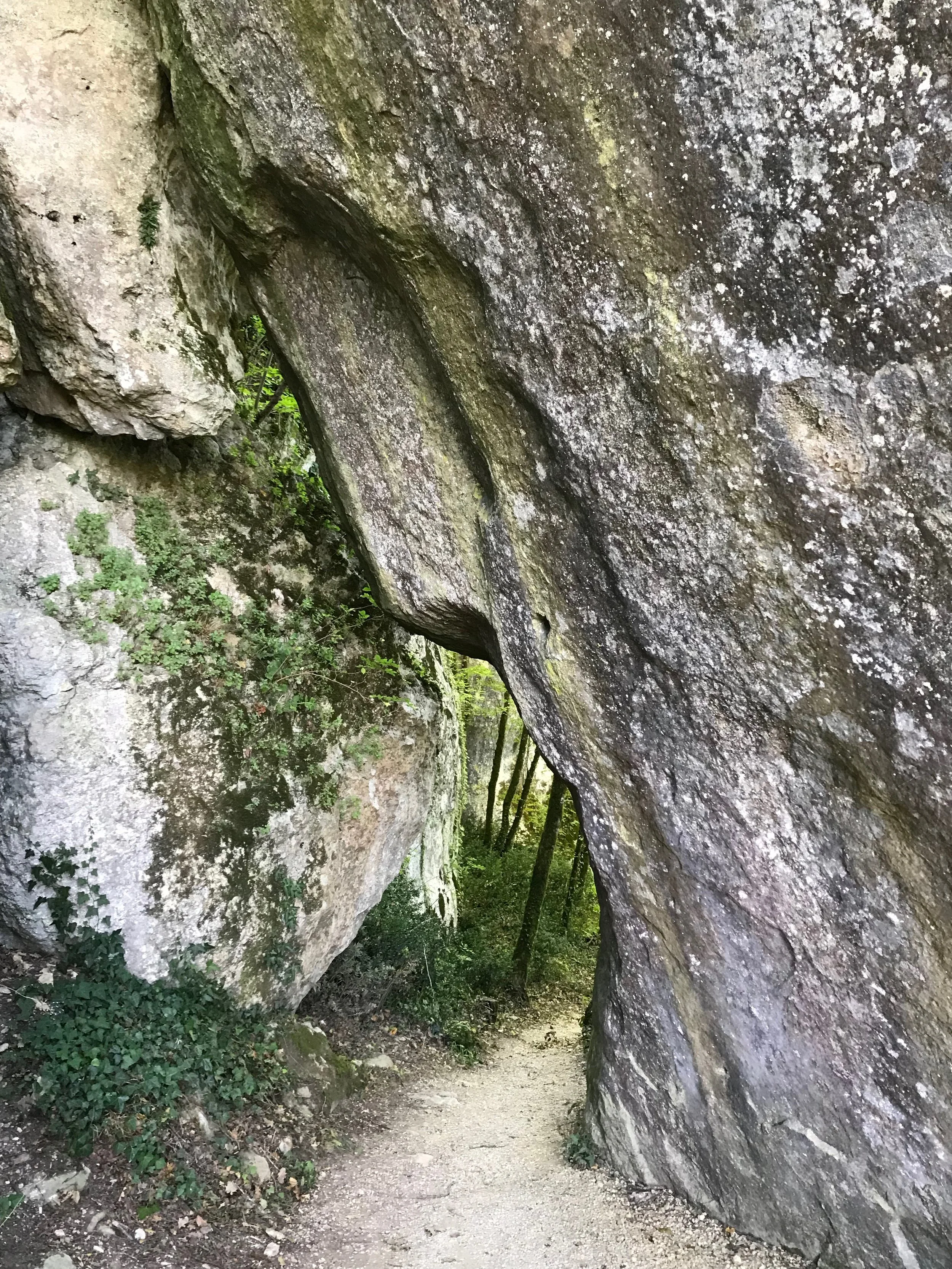 Escaping the Rhino box: how can we conceptualize non-Cartesian space?