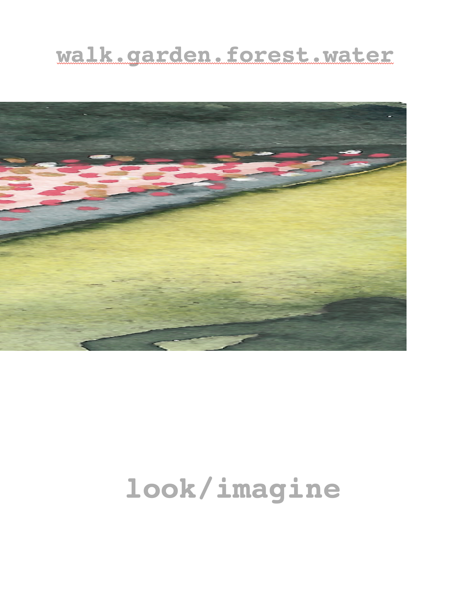 4 medicines: walk garden forest water (look/imagine)
