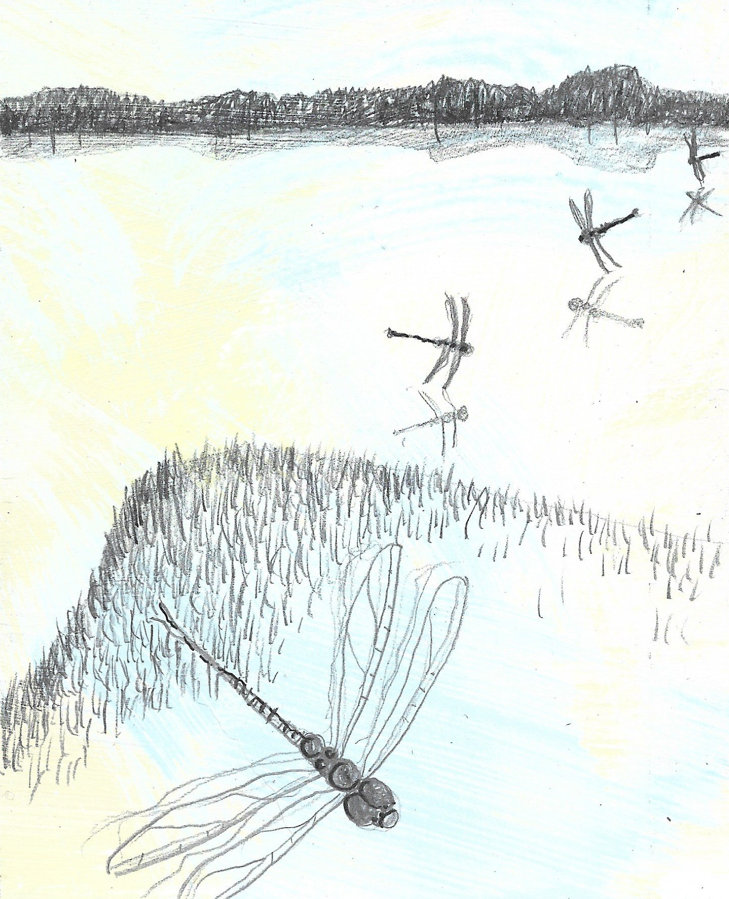 a town called curious screenshot.jpeg