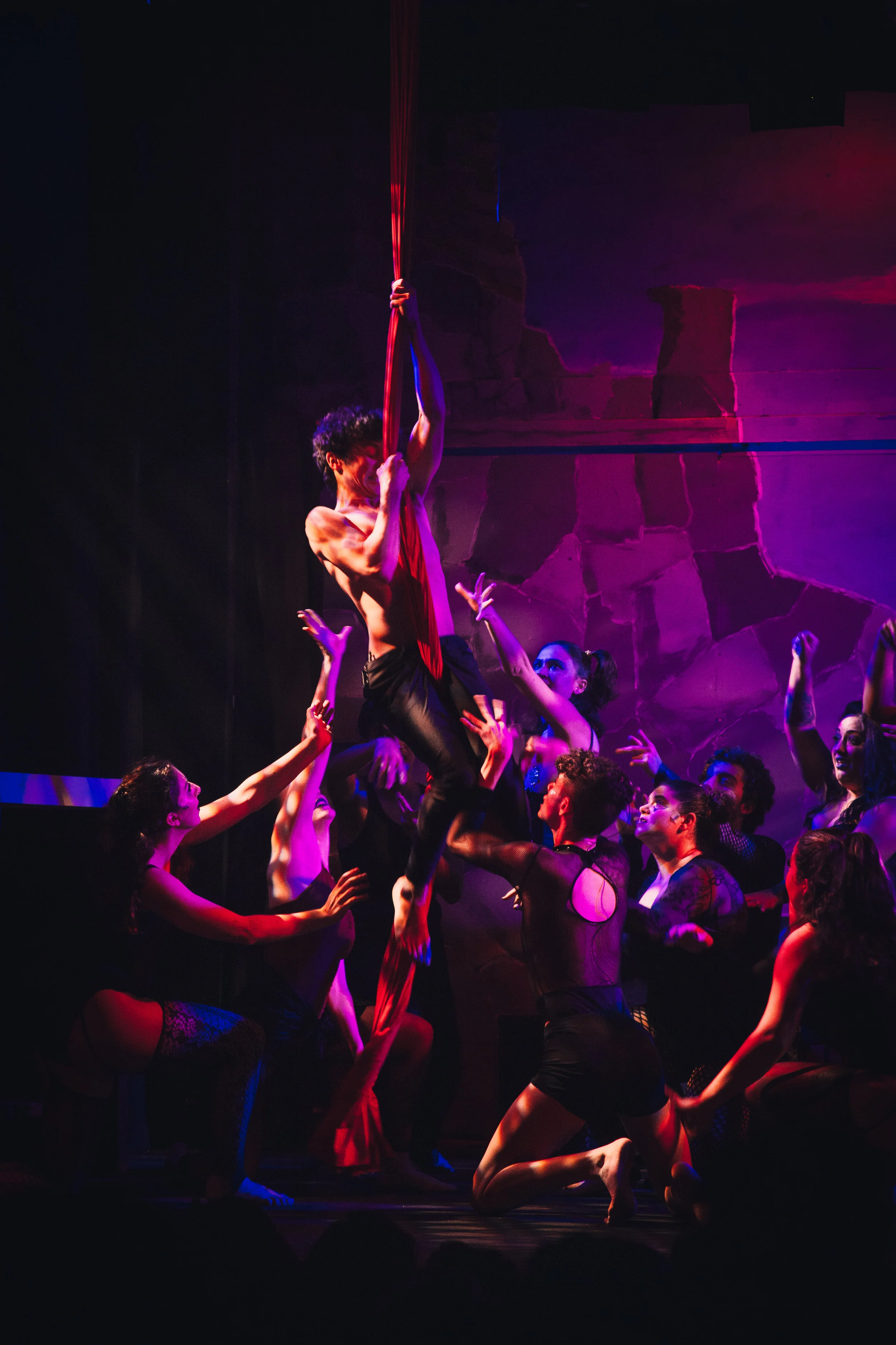 RTC-Pippin_20181125_146.jpg