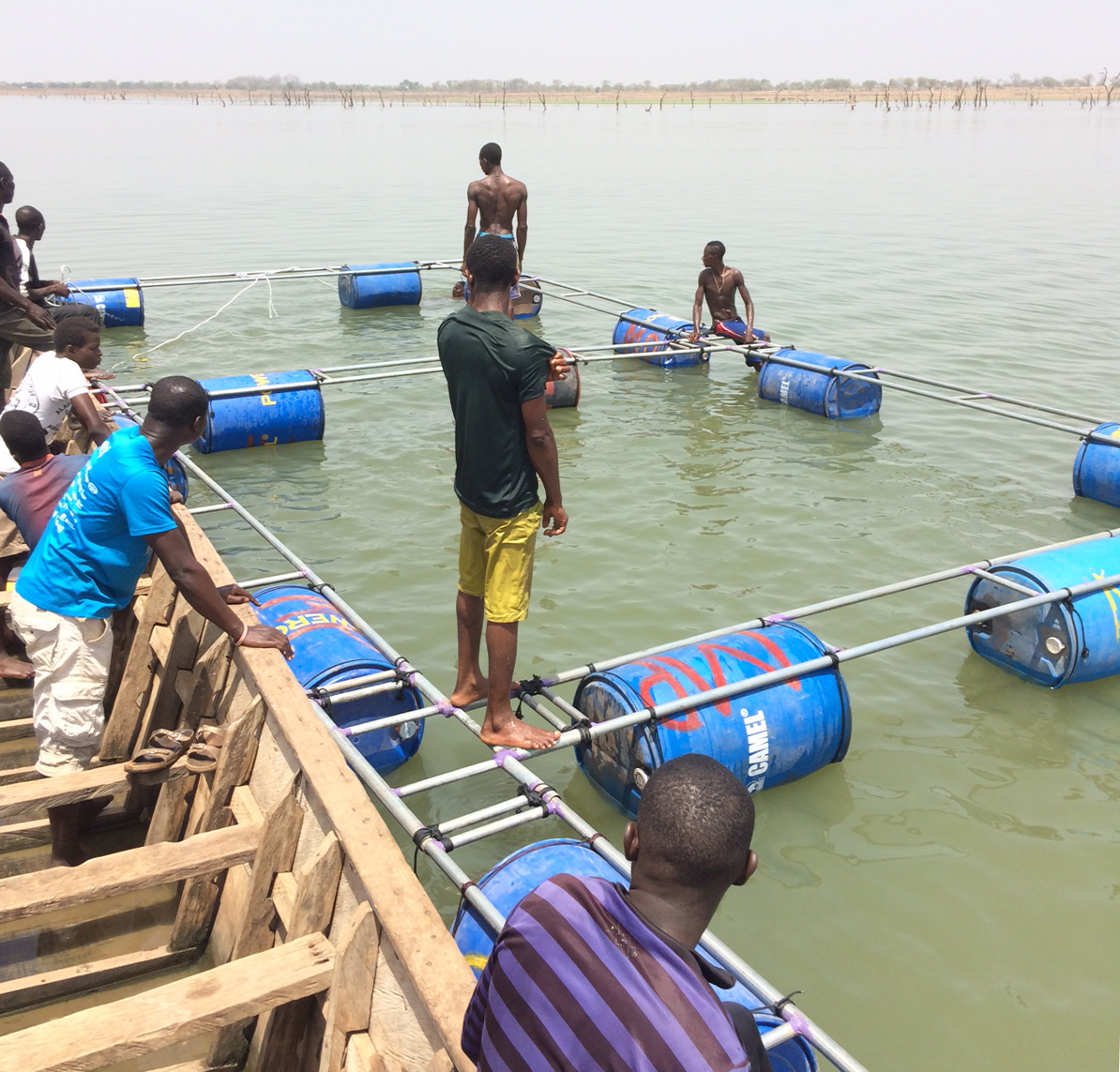  building out fish cages 