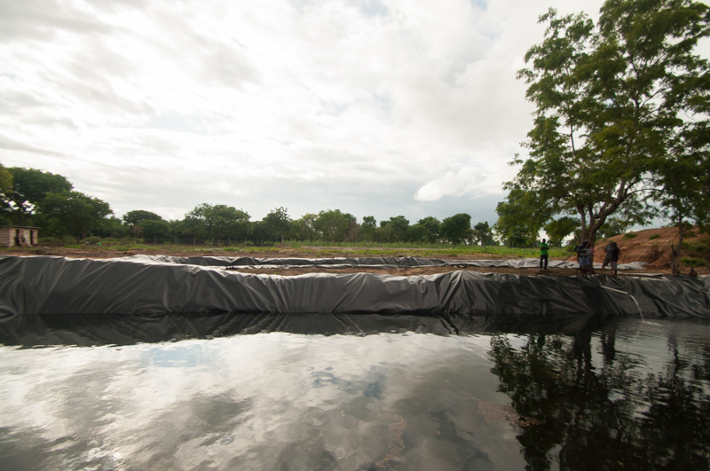 finished fish ponds