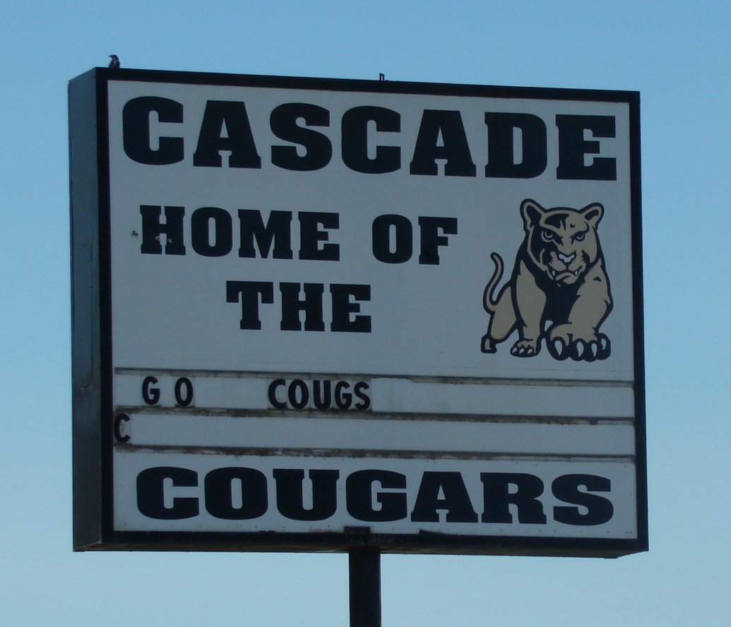 District 10 - Cougars.JPG