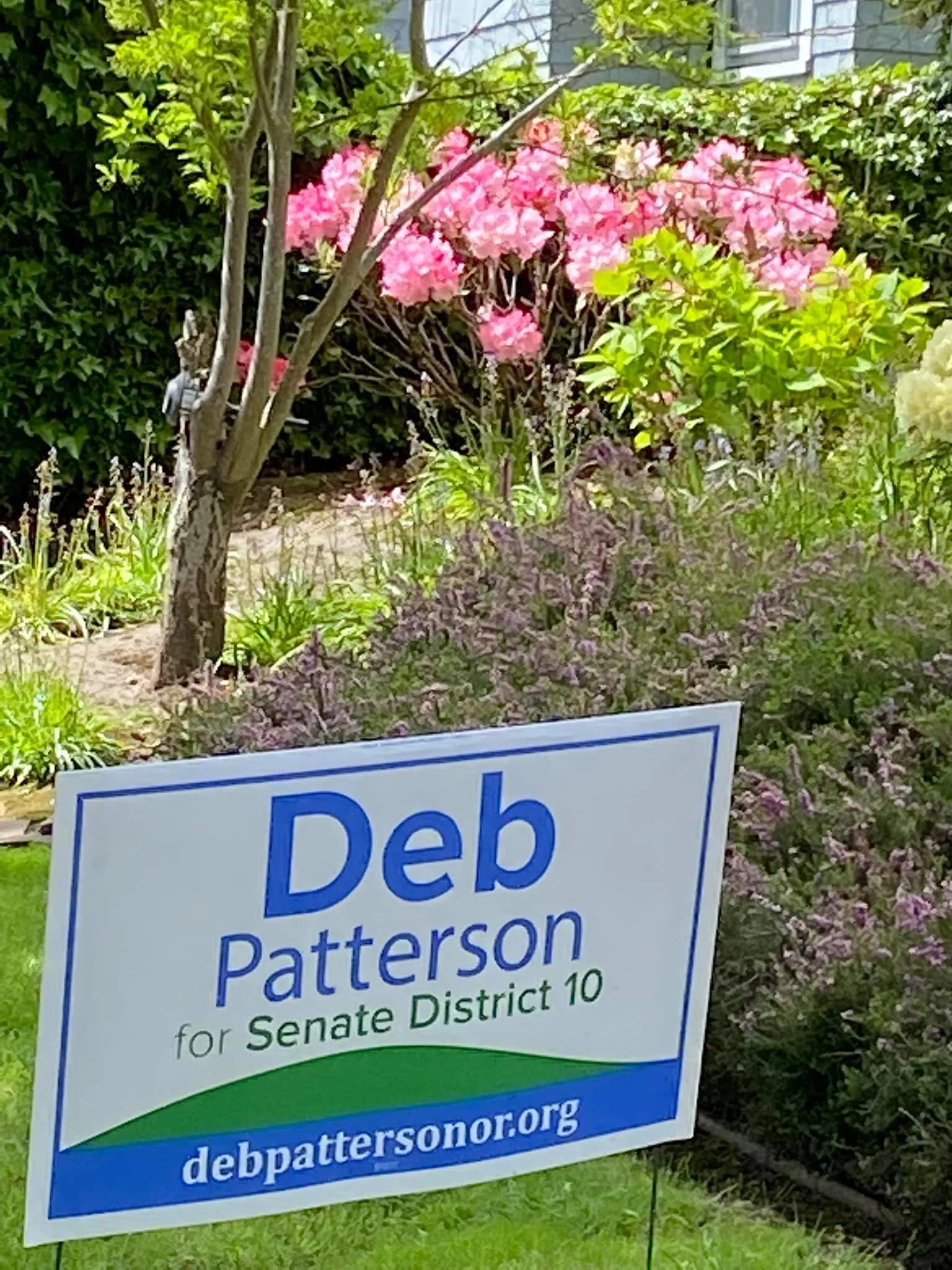 About Those Lawn Signs