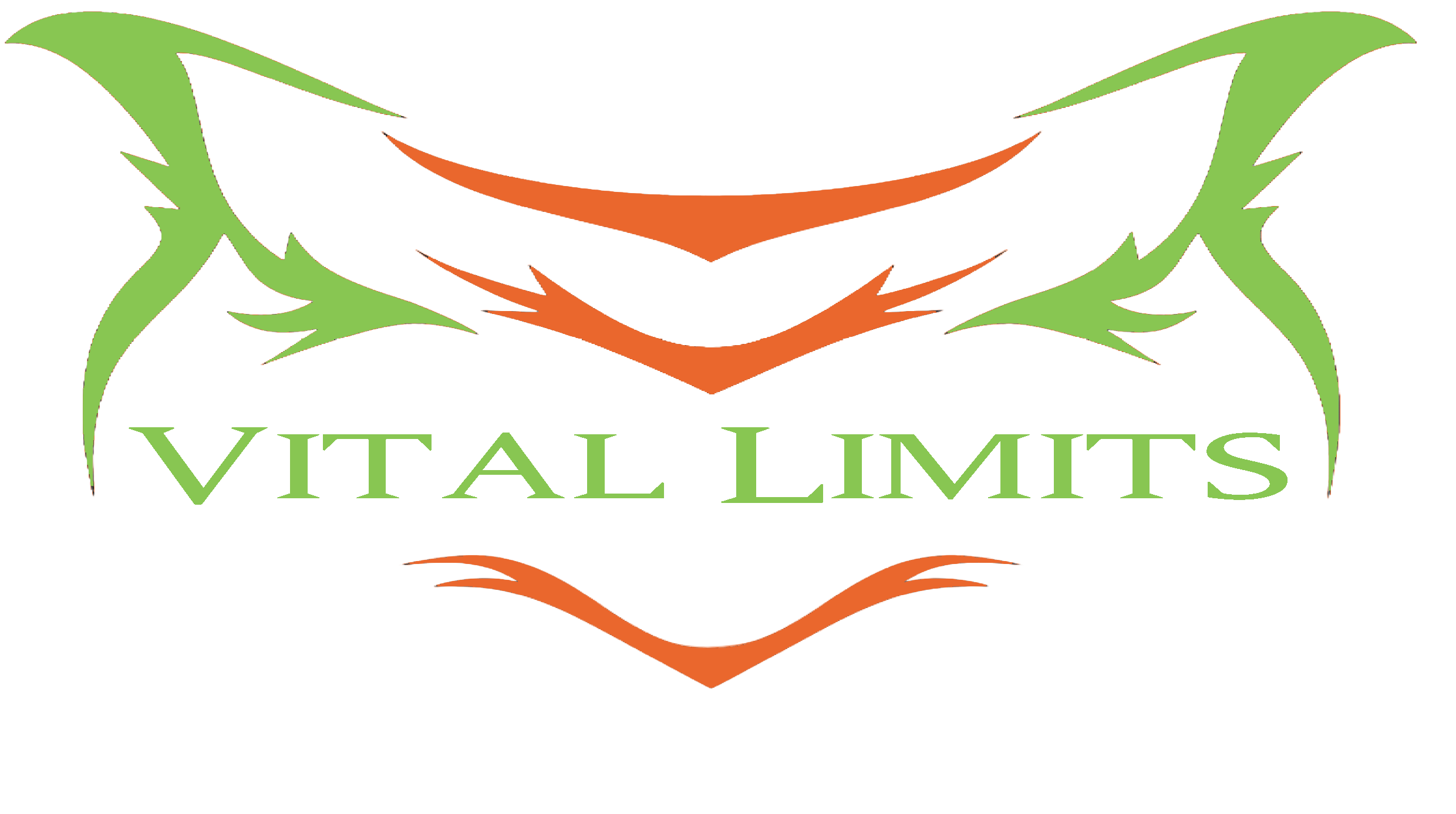 VL Logo orange and dark green.png