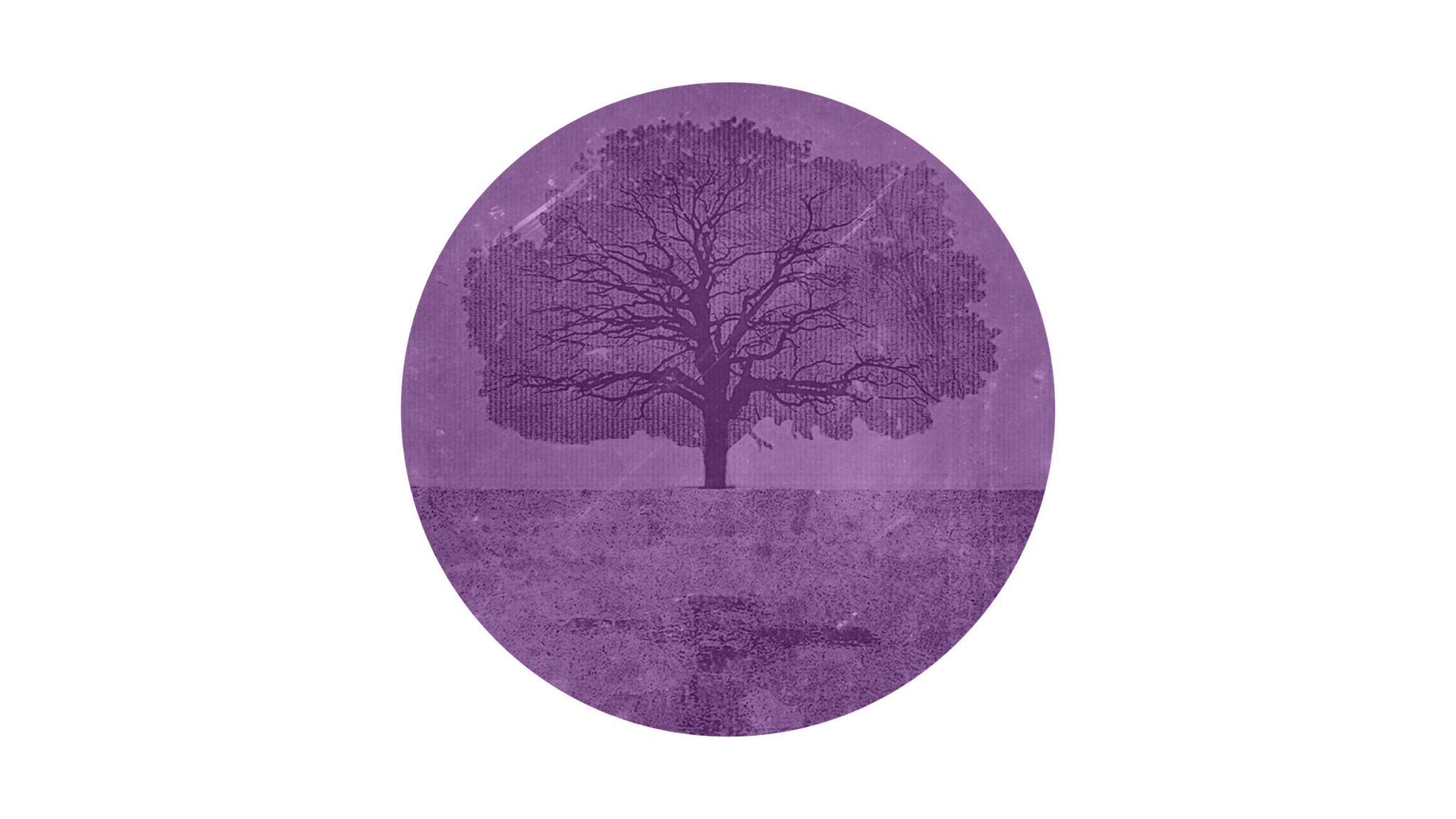 The Cross, The Lynching Tree, and the Color Purple