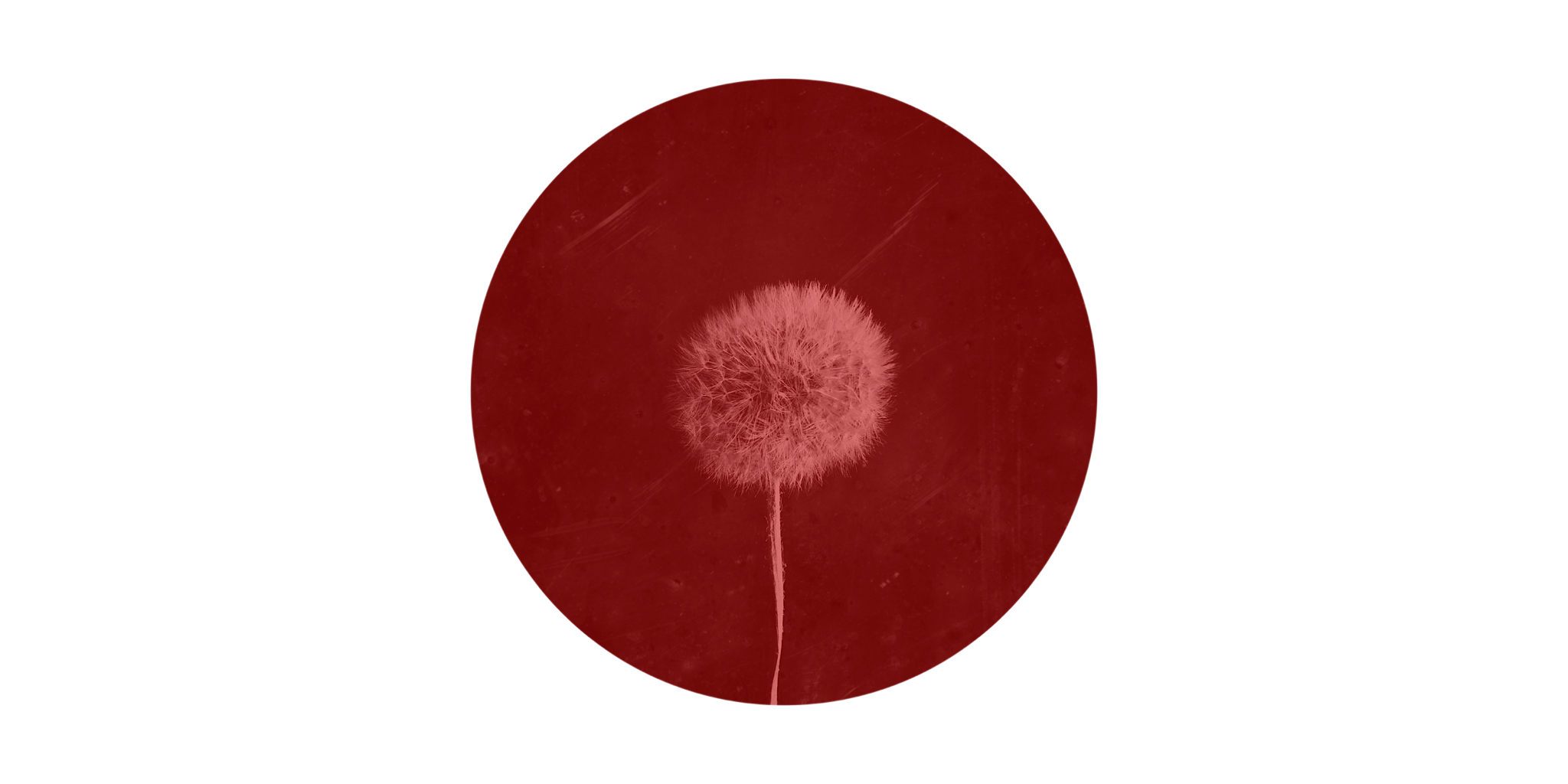 Theologies of Creation