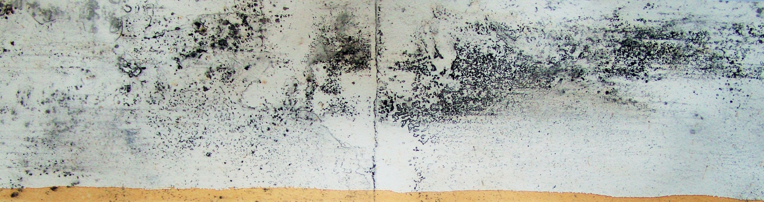 Listen II (Detail)