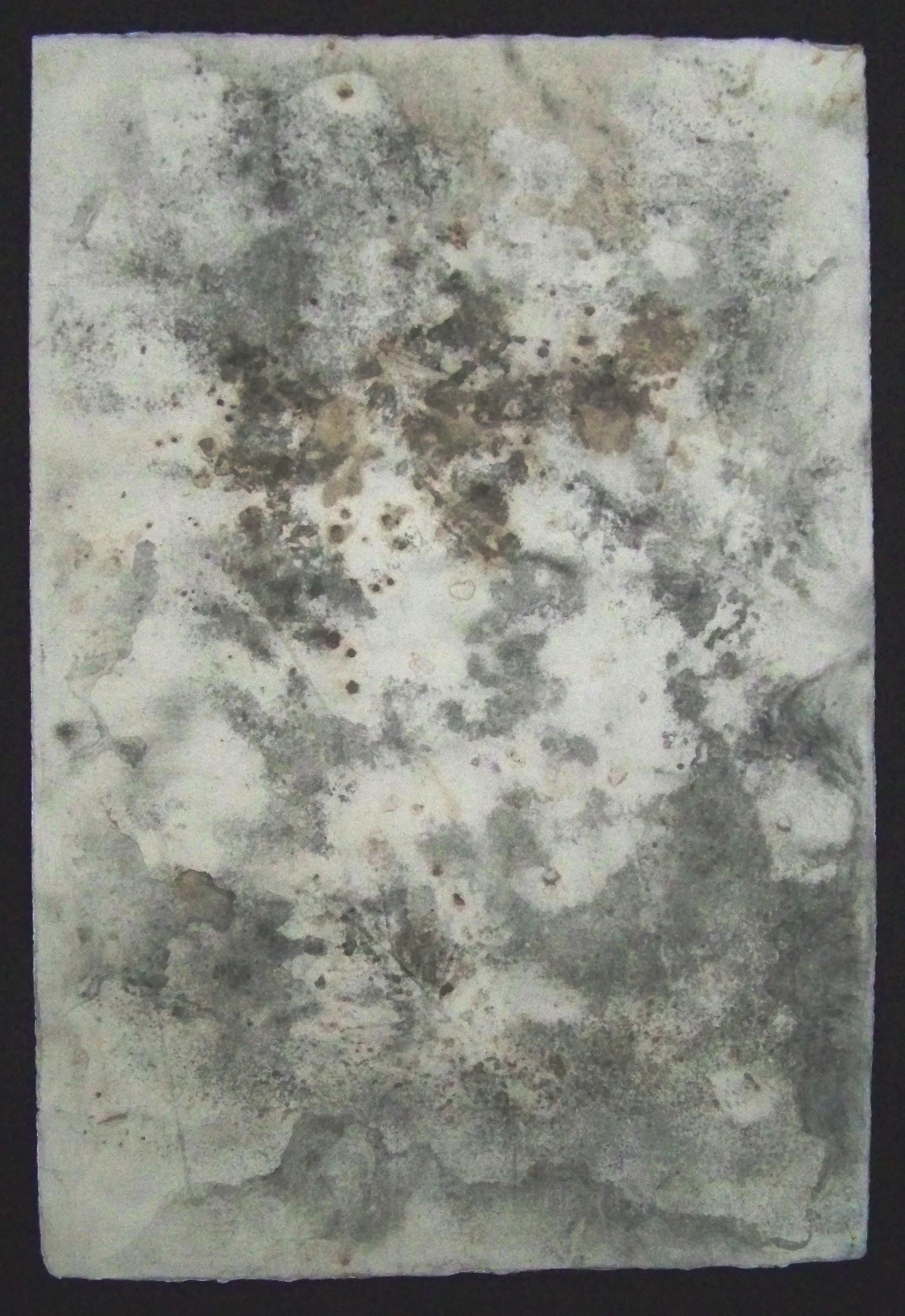 print process study.jpg
