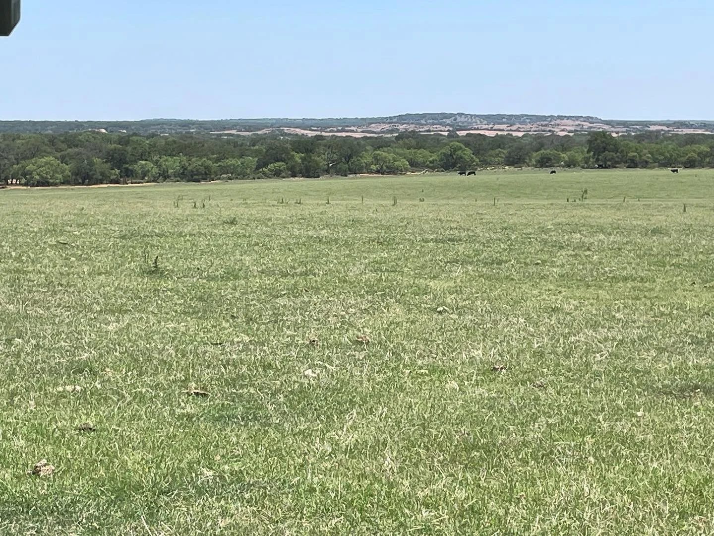Mason County is the Hill Country hidden gem 💎 Looking to the SE towards Katemcy outcropping. Elevation approx 1,700 ft.