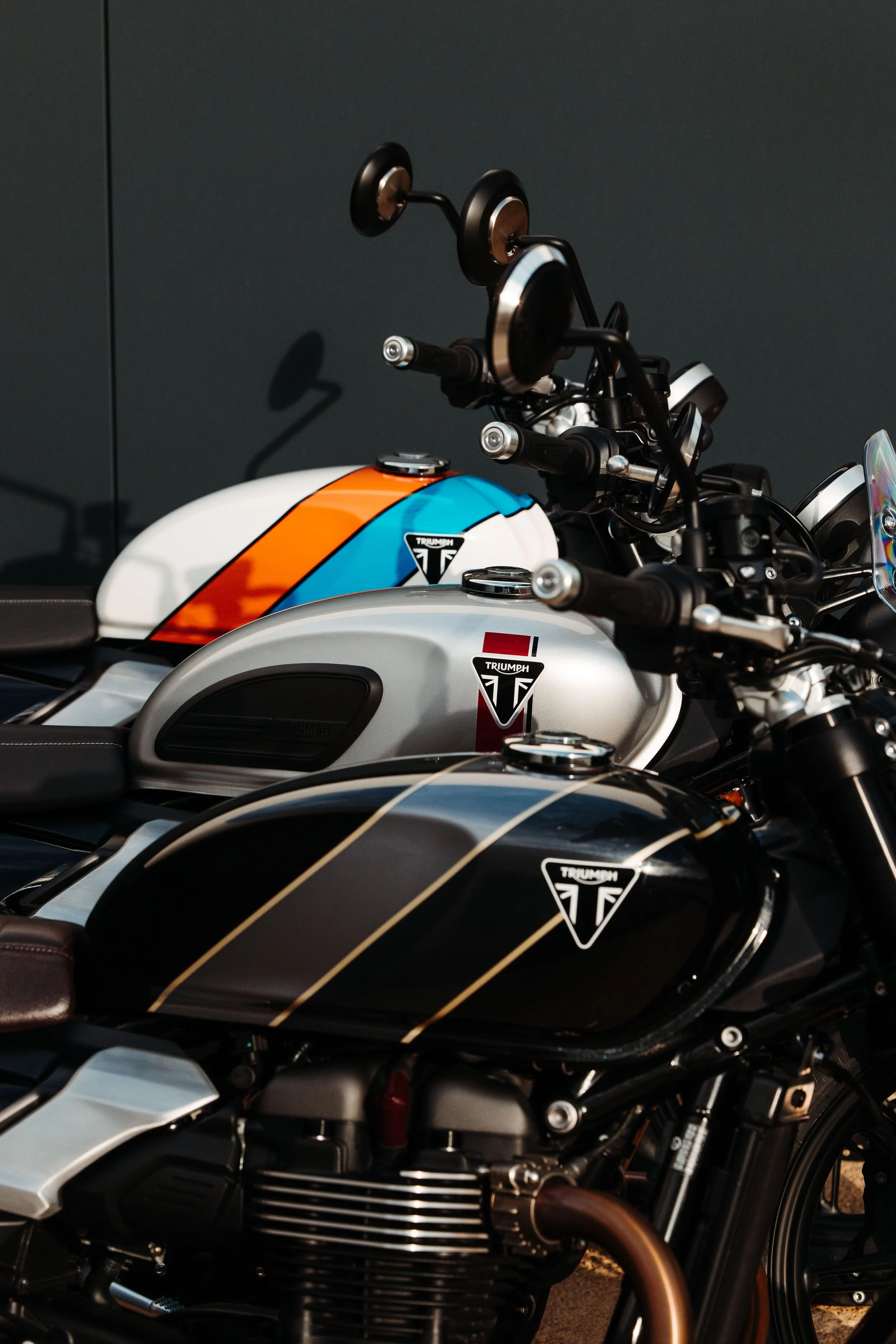 SHY-TRIUMPH-6861.jpg