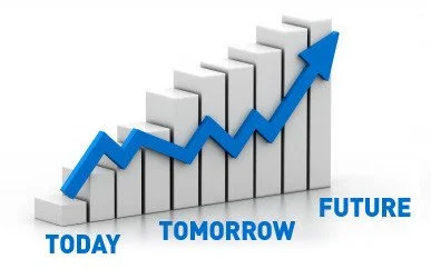 How Often Should You Check Your Portfolio?