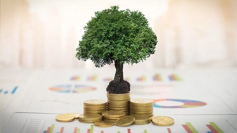 Behavioral Finance: How Anchoring Can Weigh Down Your Investment Returns