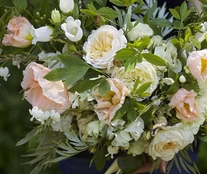 gold, apricot and white.jpg
