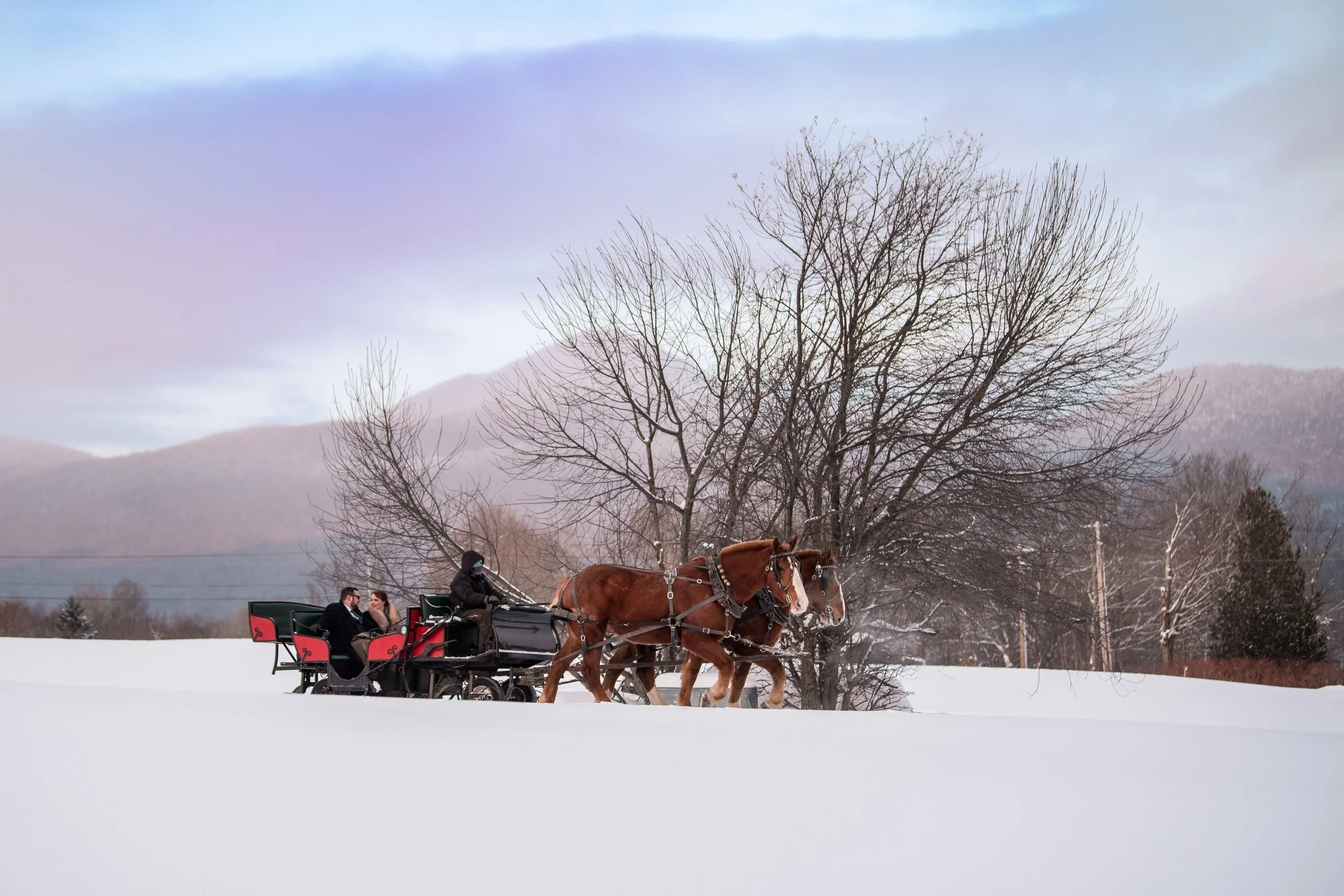 What could be more romantic than a sleigh ride in the snow as Photographed by Steve Holmes.