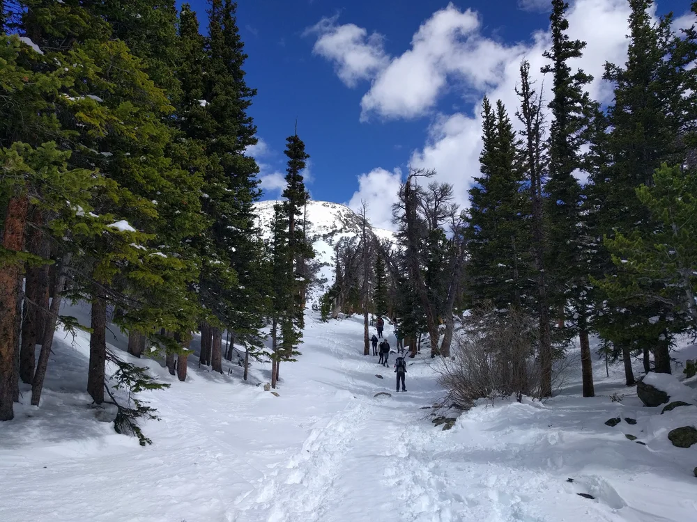 18 Best Things To Do In Denver In Winter Delicious Denver Food Tours