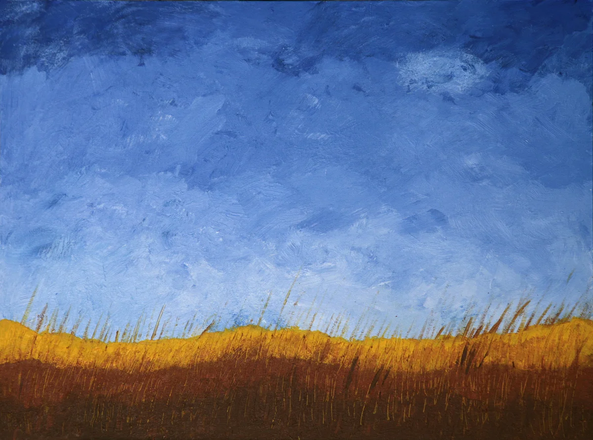 Empty Field