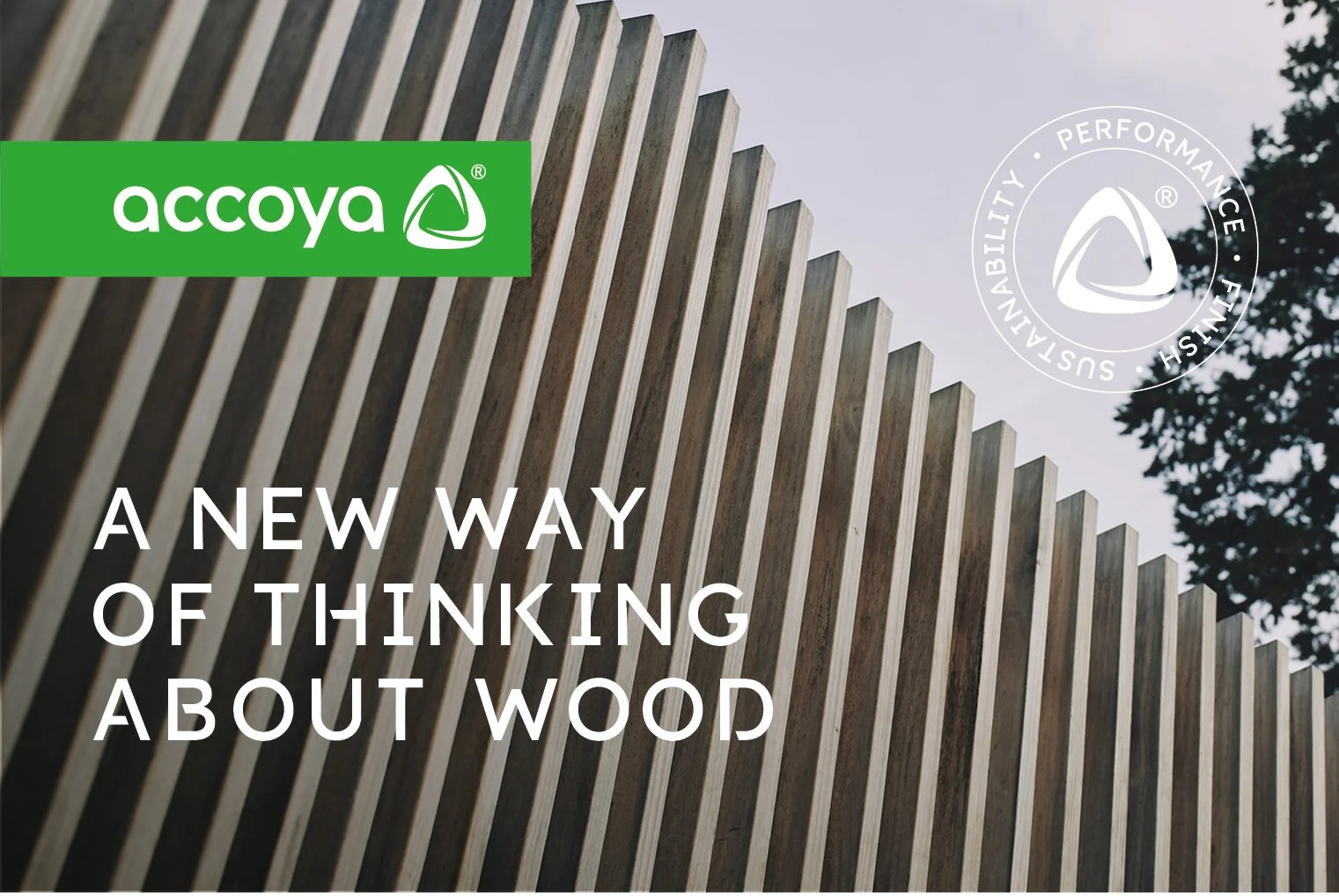 Accoya_Hero_Image2.jpg