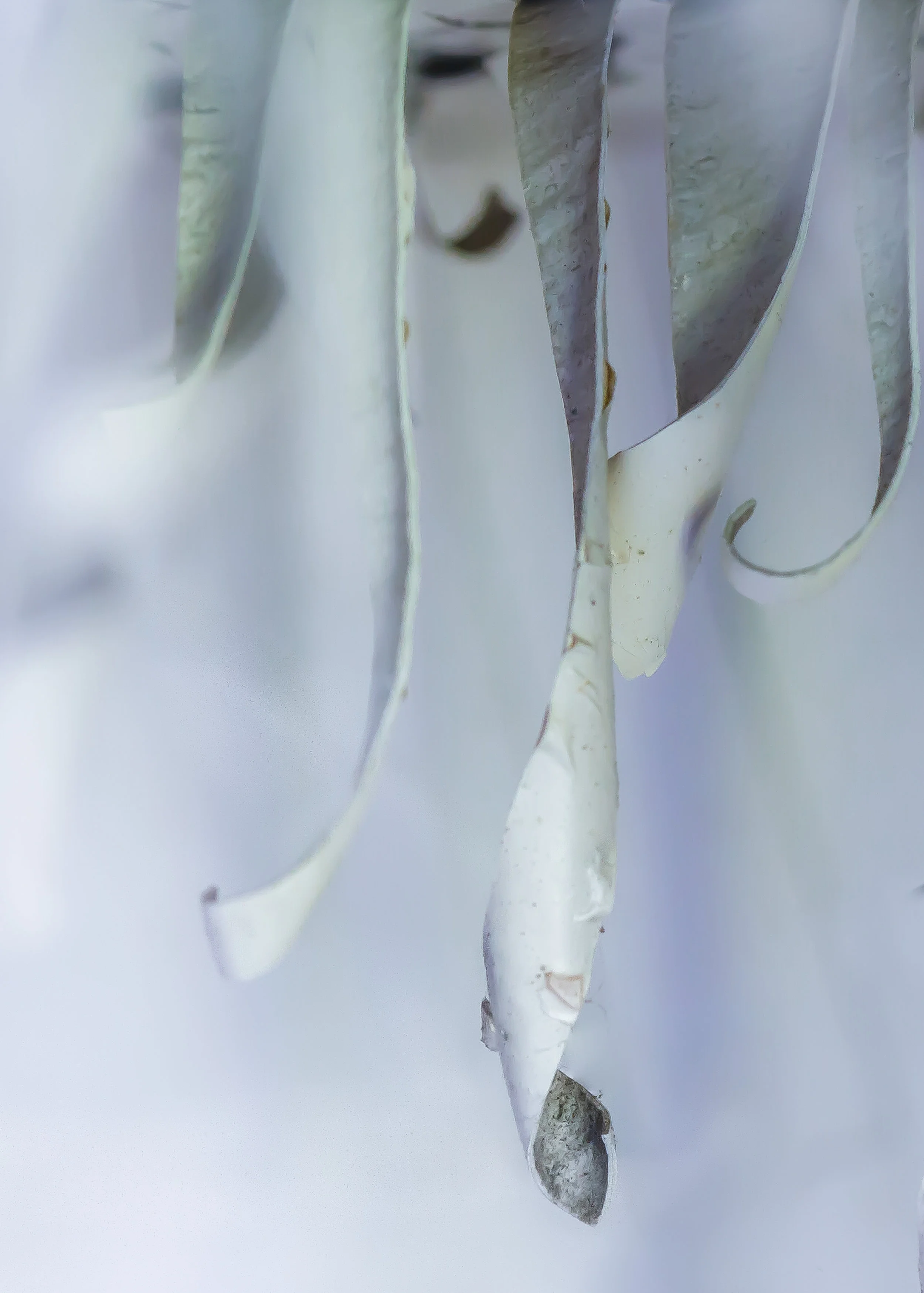 _MG_9238-2-2.jpg