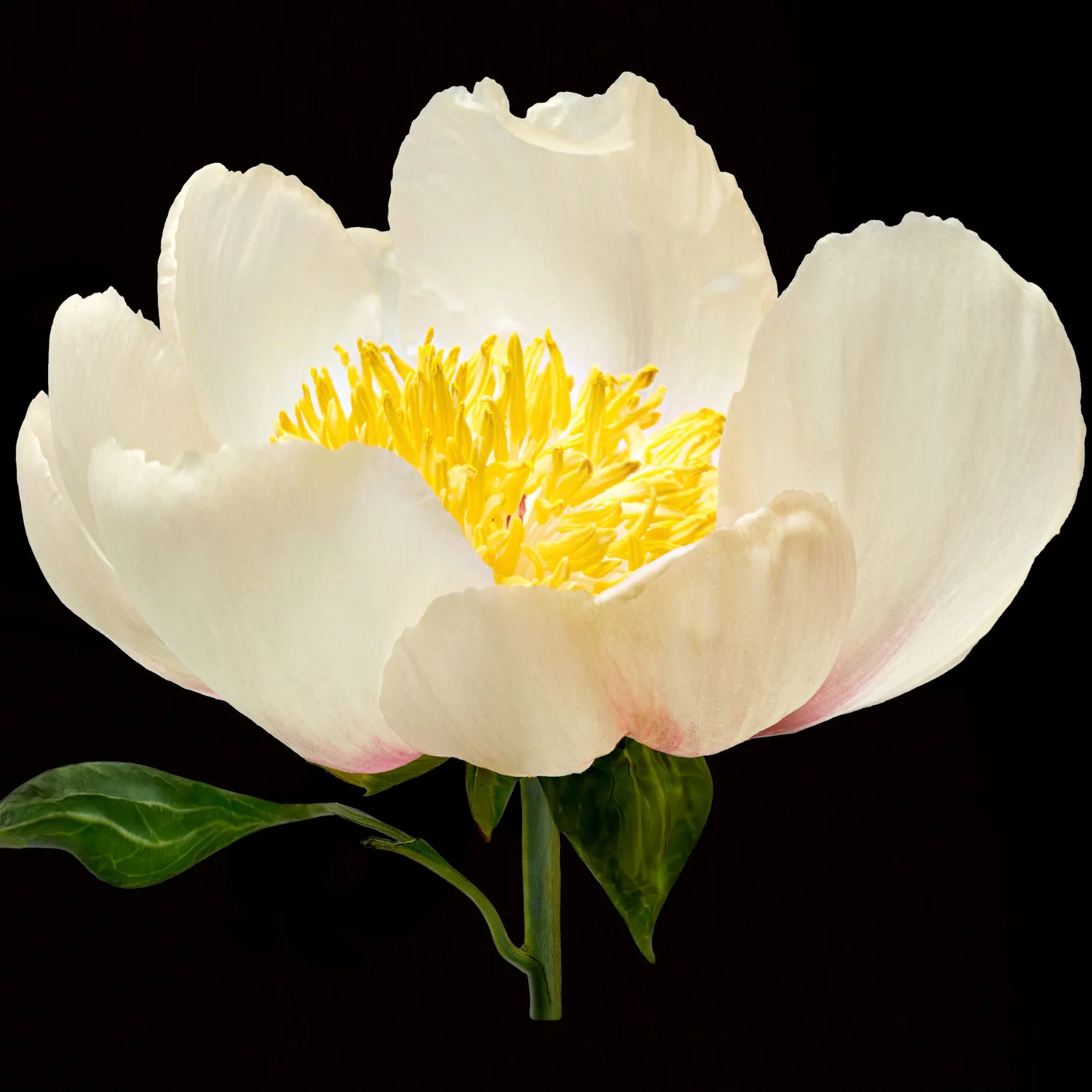 img.-6.jpg