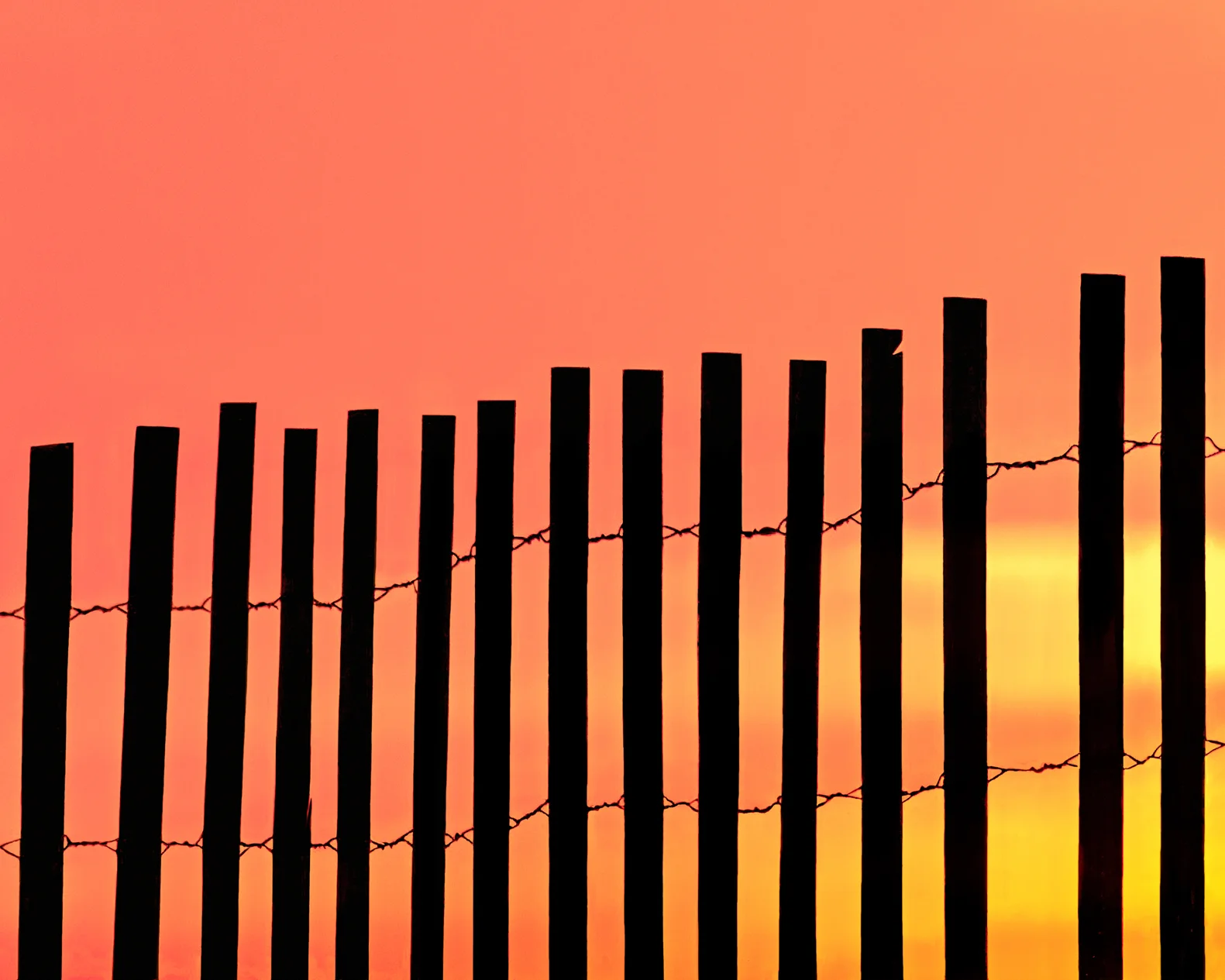 0065-A1-2-Edit.jpg