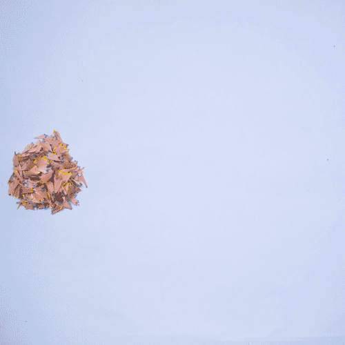ad246e516d2f6fb52687d419d307d80869b1b72f_hq.gif