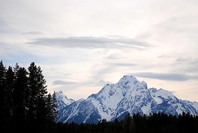 To commemorate our 50th Earth Day, here are some photos I&rsquo;ve taken over the last year in some of our most gorgeous national parks. #yellowstonenationalpark #yellowstone #nps #nationalparkservice #nationalparksusa #grandtetonnationalpark #grandt