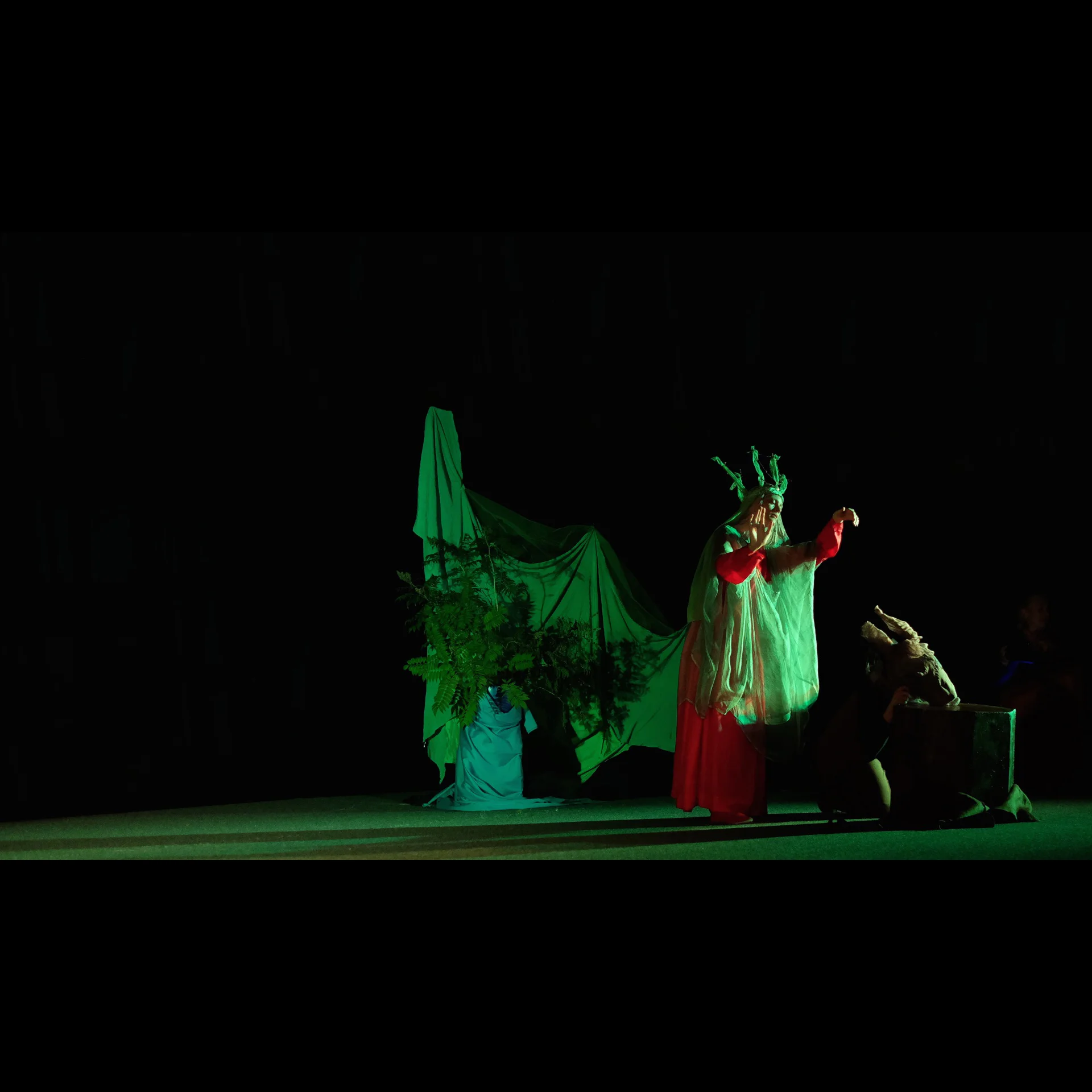 DSCF7784.jpg
