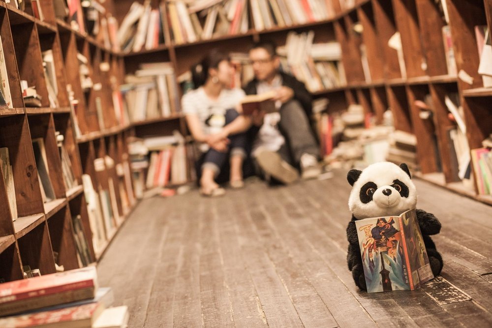Luckily, pandas can see in the dark.