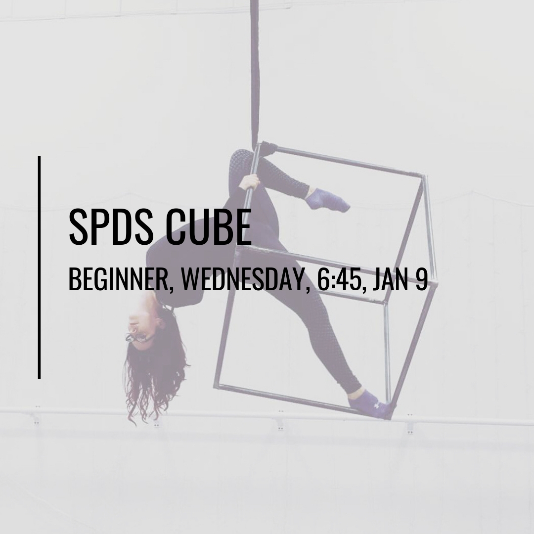 SPDS CUBE.jpg