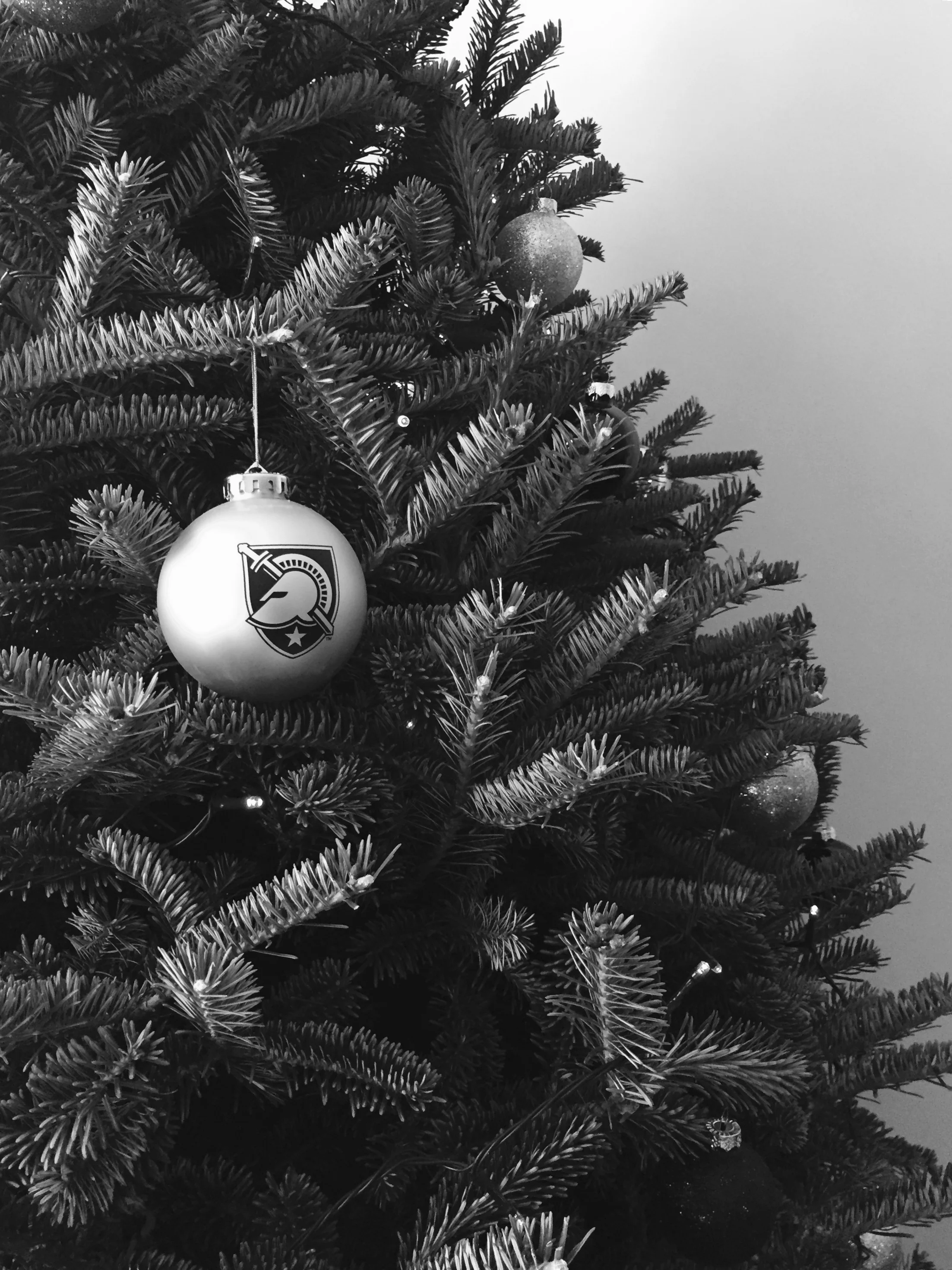 Oh Christmas Tree...Farewell. 