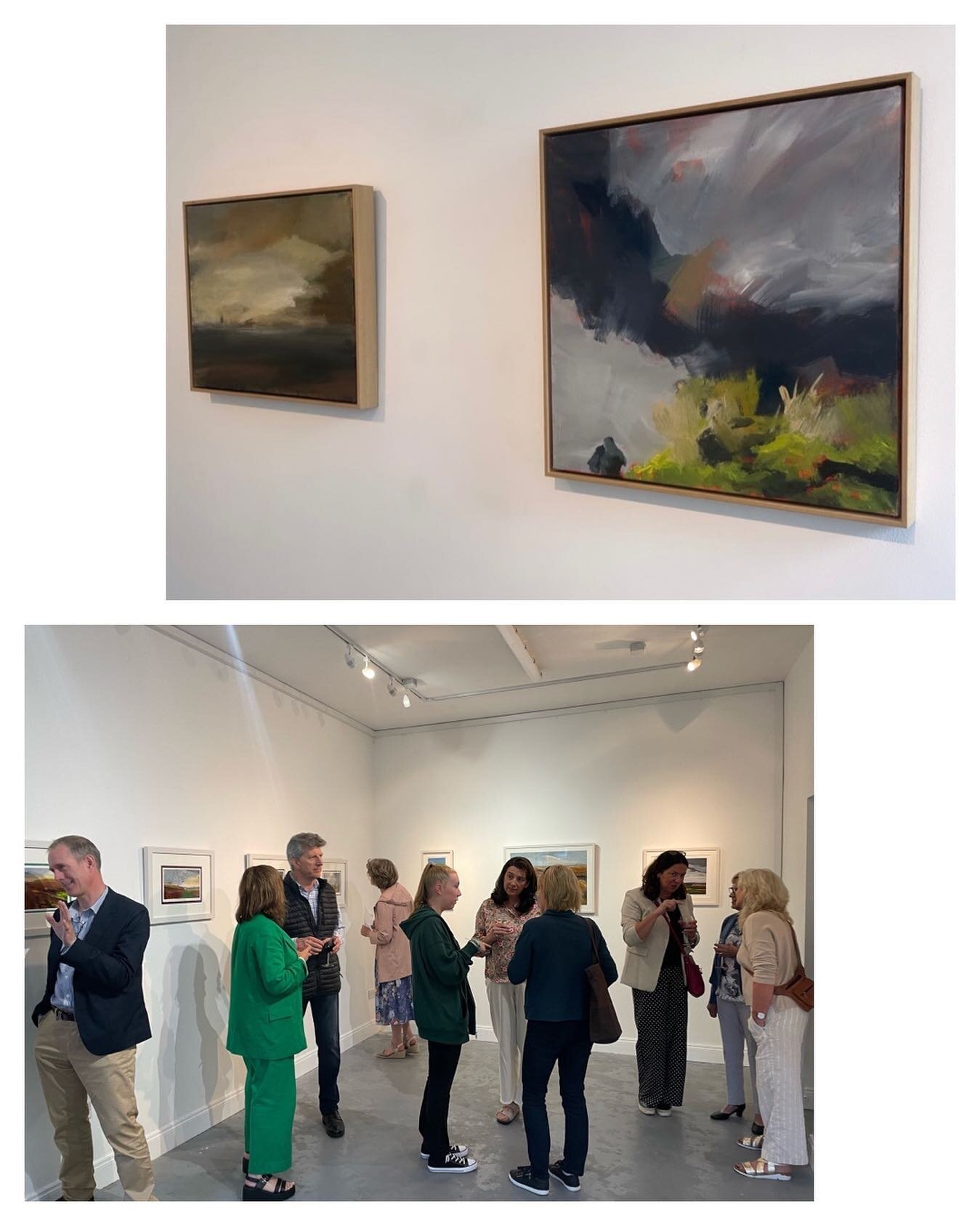 🍷 We had a wonderful opening for @stephanie_mclaughlin_art &lsquo;s exhibition &rsquo;Grounded&rsquo; on Monday evening.
🗓 Open daily from 11am-4pm until this Sunday 28th August
📍Engage Art Studios, Churchfields, Salthill