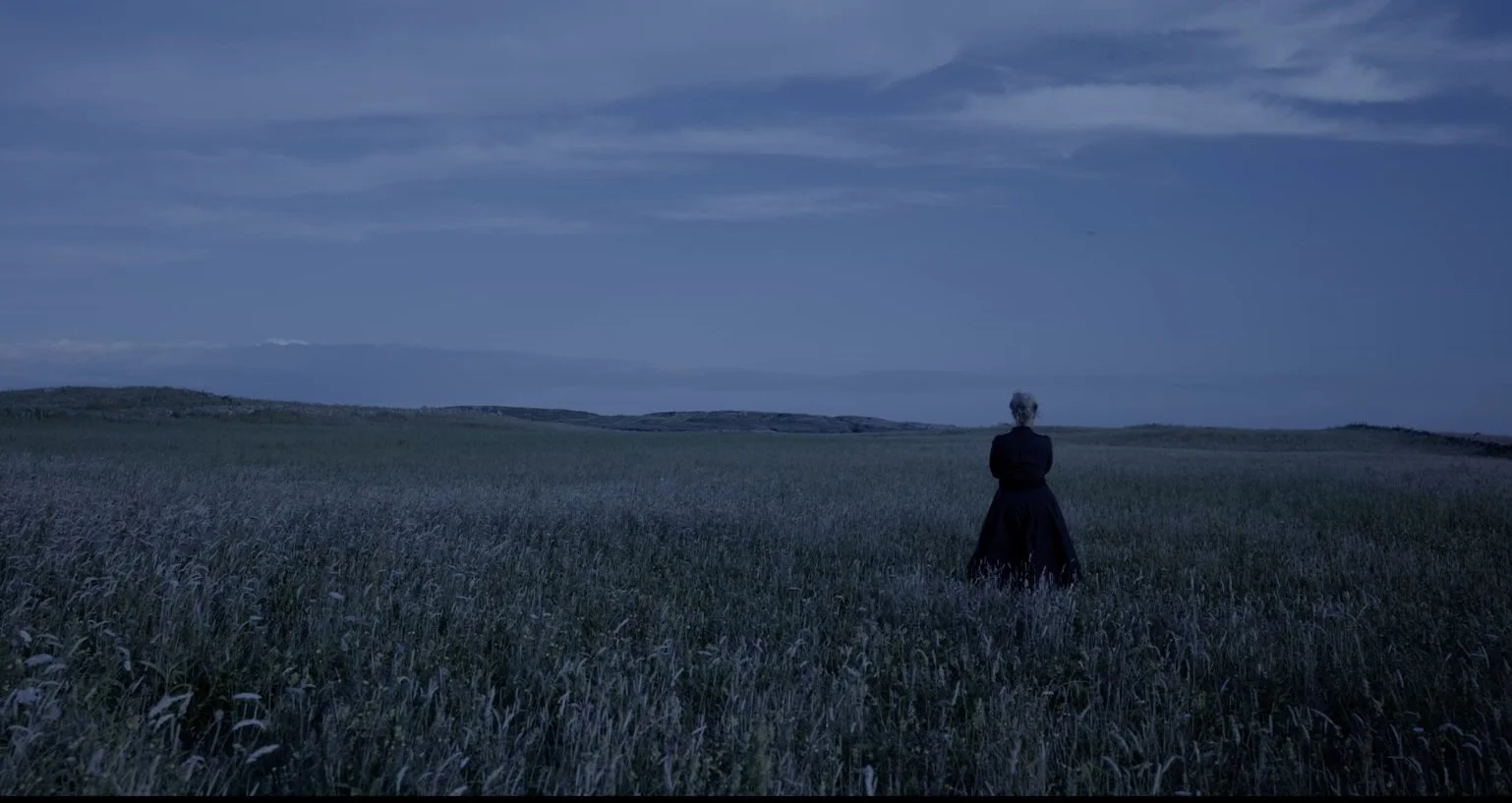 Dhátheangach Two Tongued Ceara Conway.jpeg