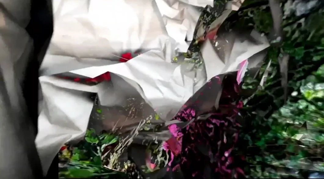 Still from Home Without Walls.jpeg