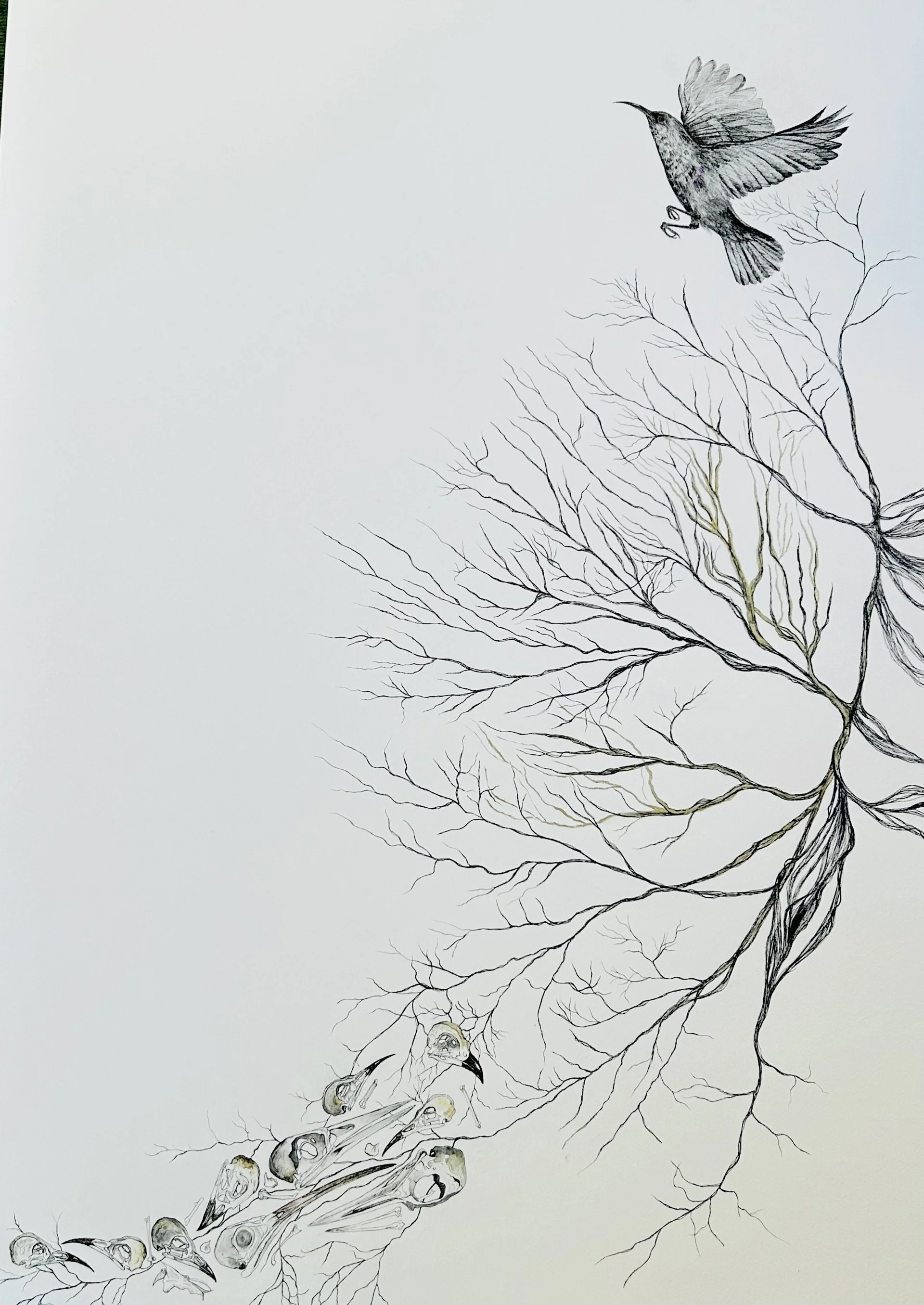 Fragments2.jpg