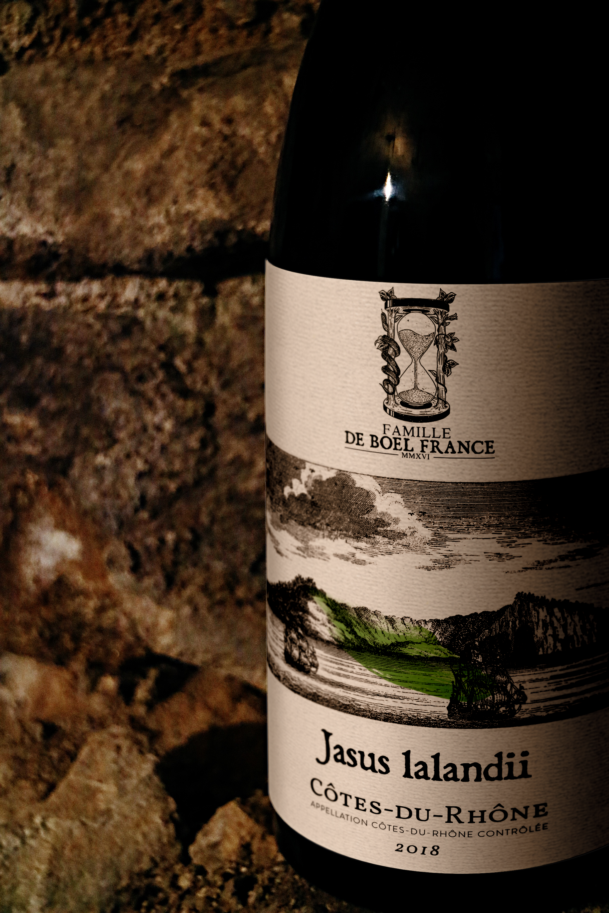 Jasus lalandii_mockup.png