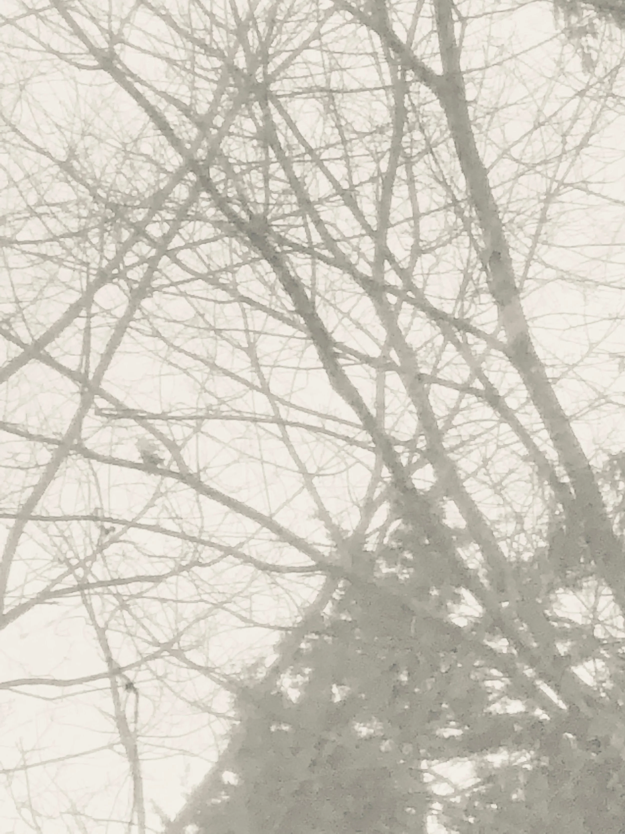 sunday morning scribbling