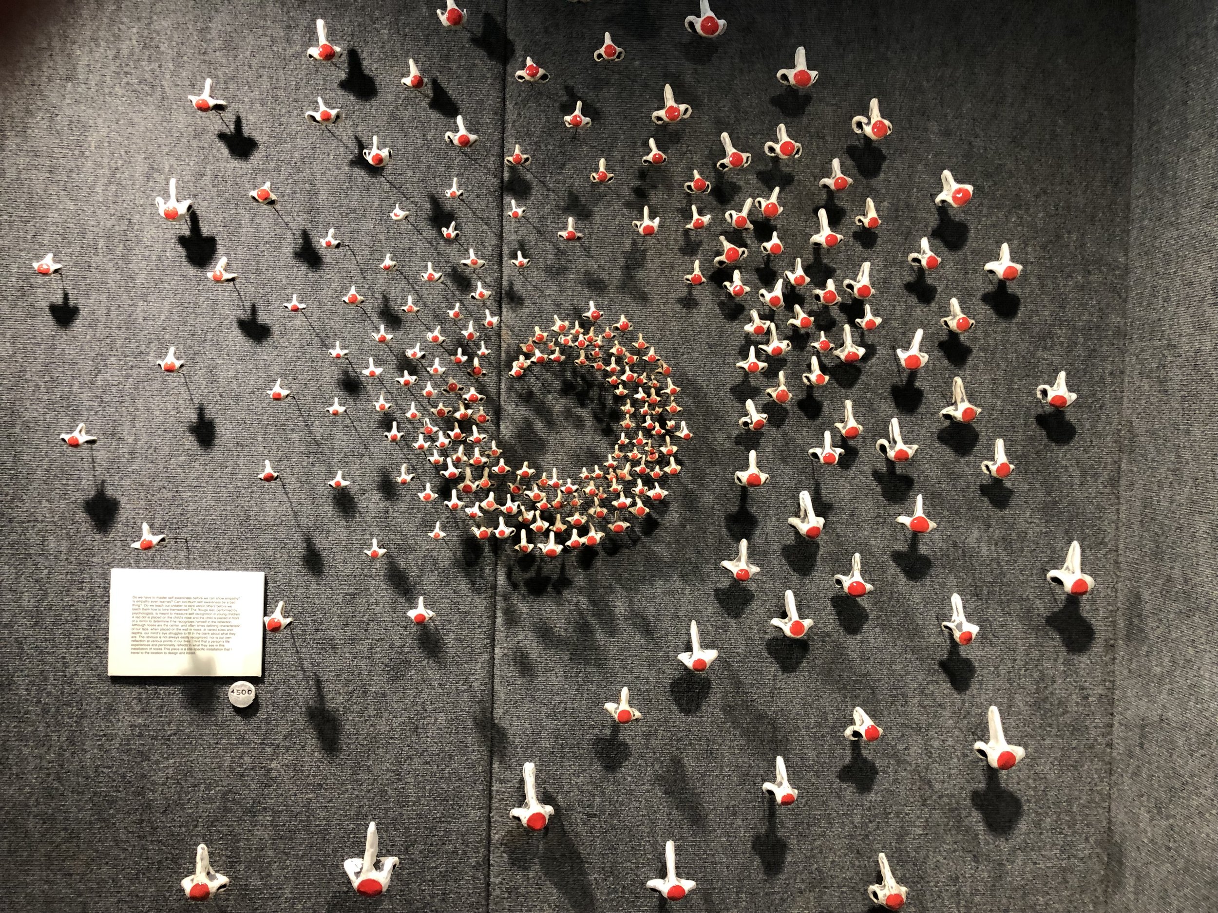 jenifer thoem created a bunch of noses and installs them in varying designs, site specific