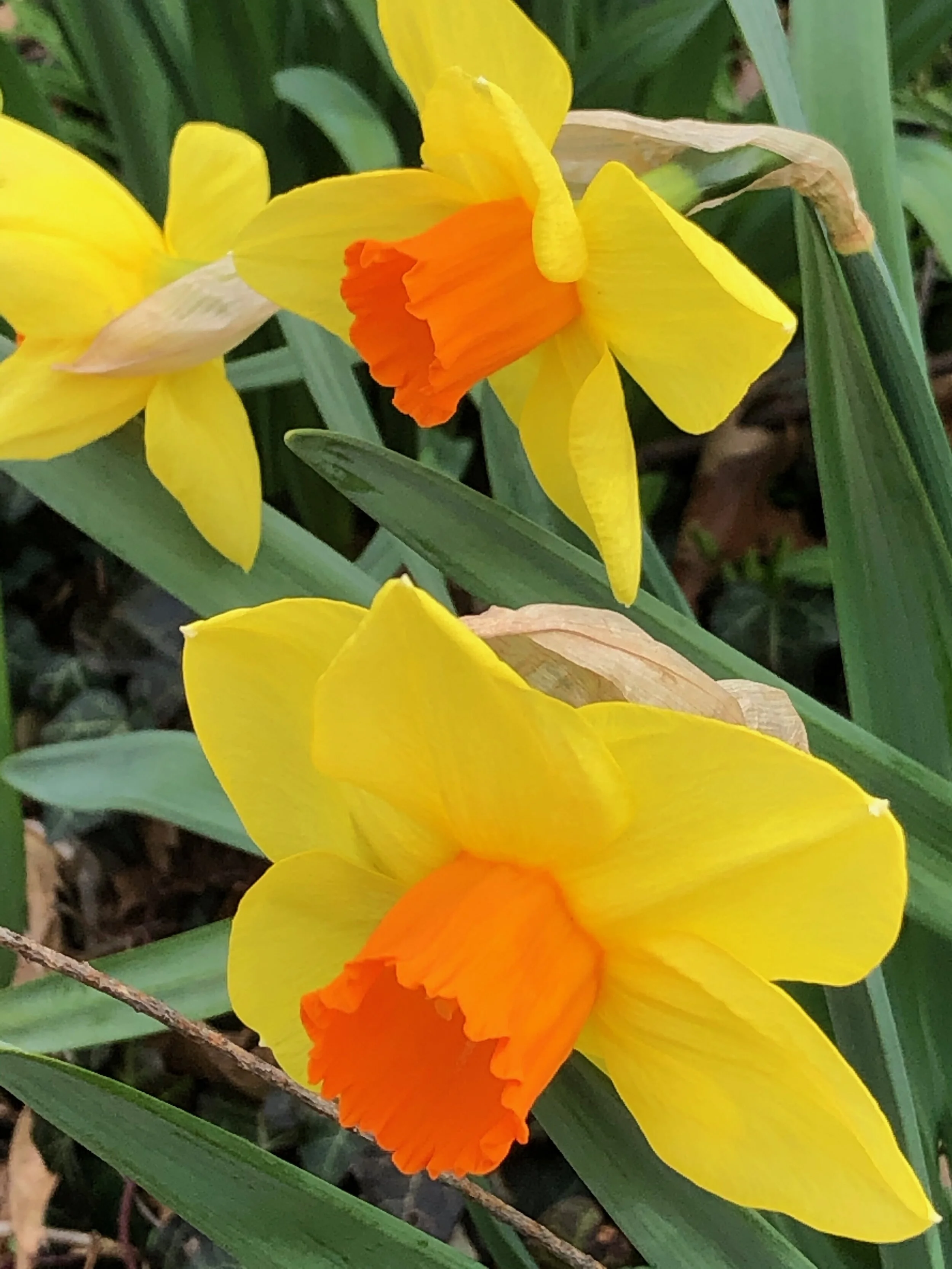 guys are actually wiping down their gym equipment!