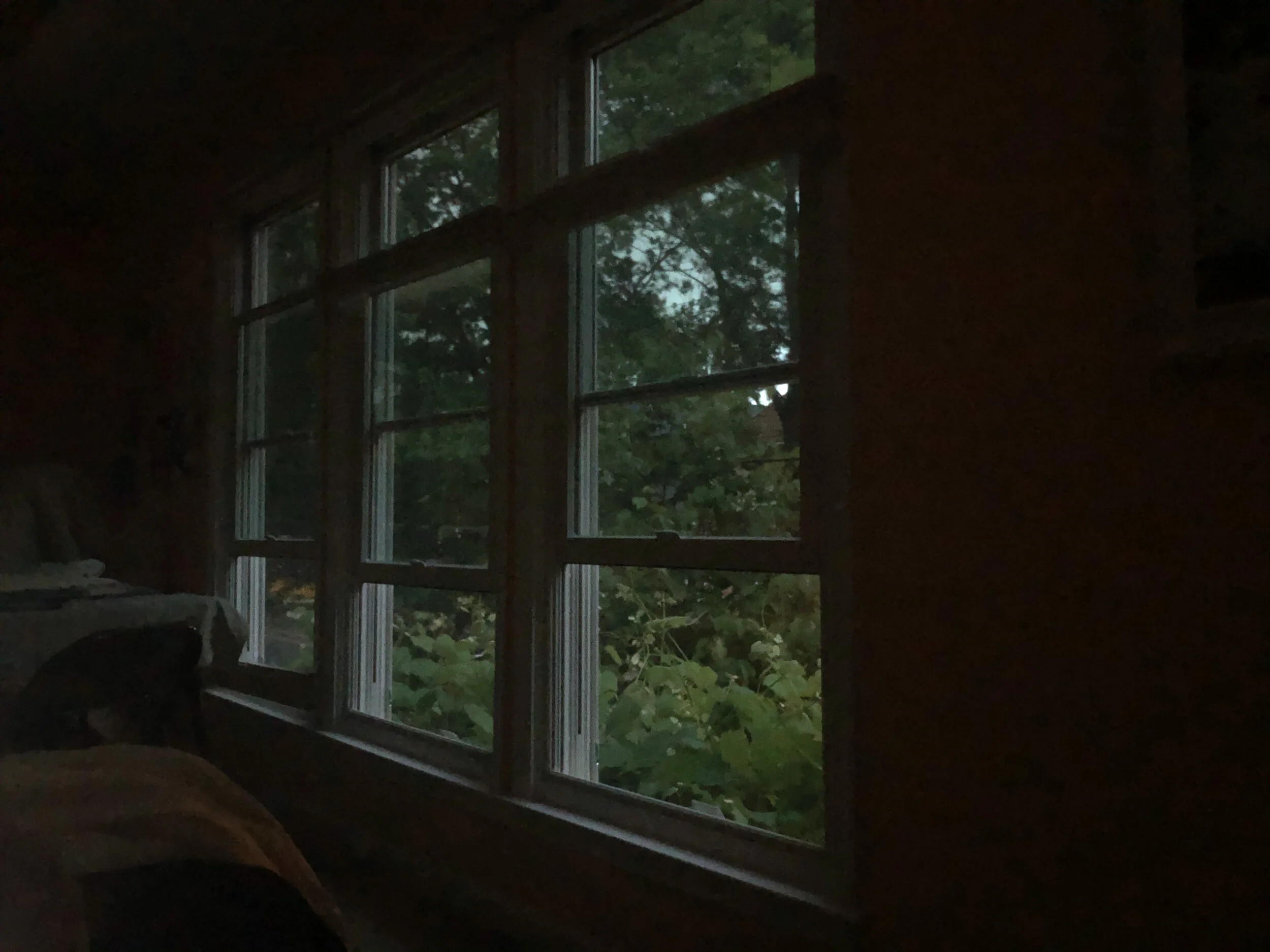 early summer evening ... not late spring