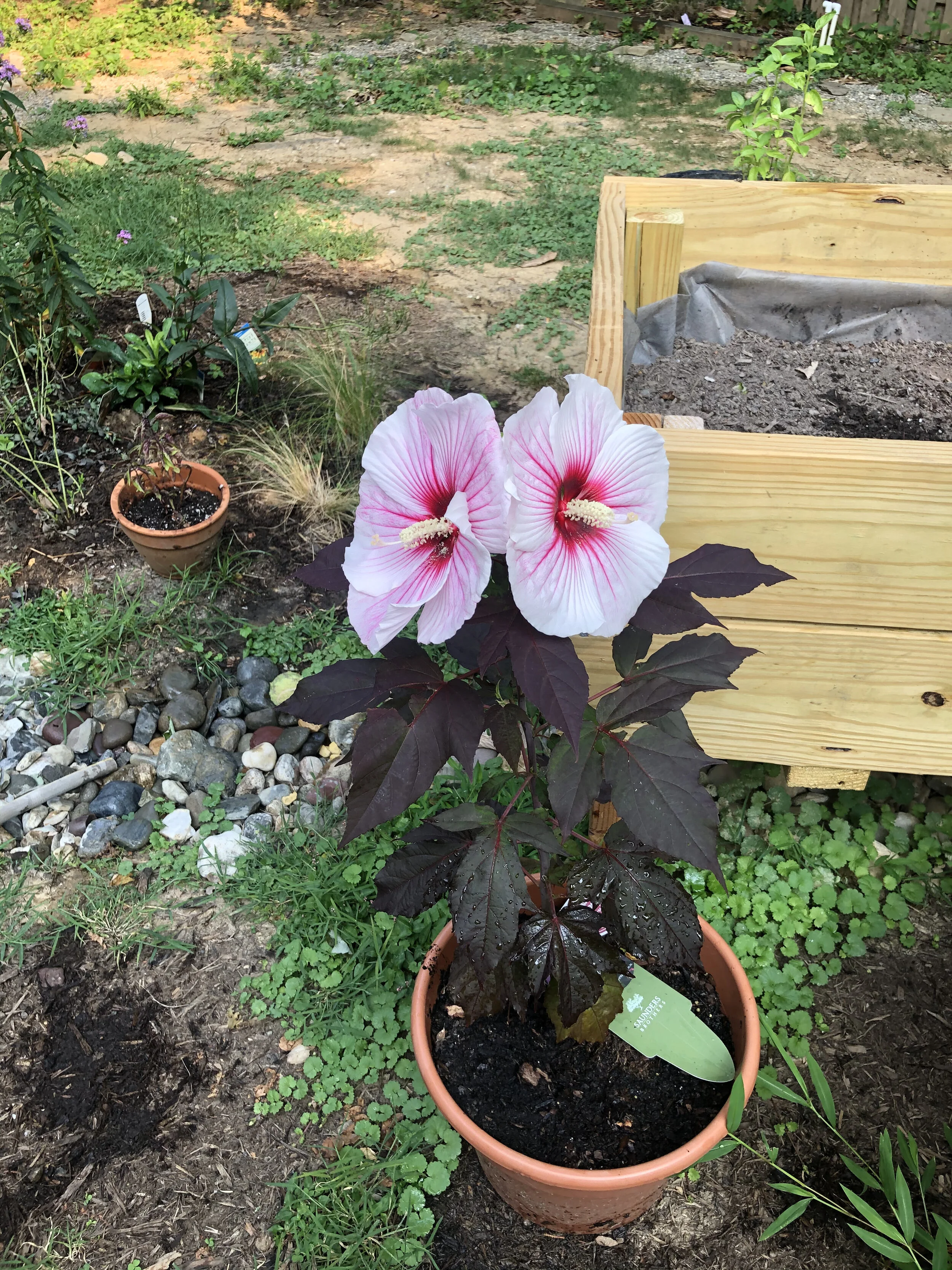 turks & caicos & 23 years ago today