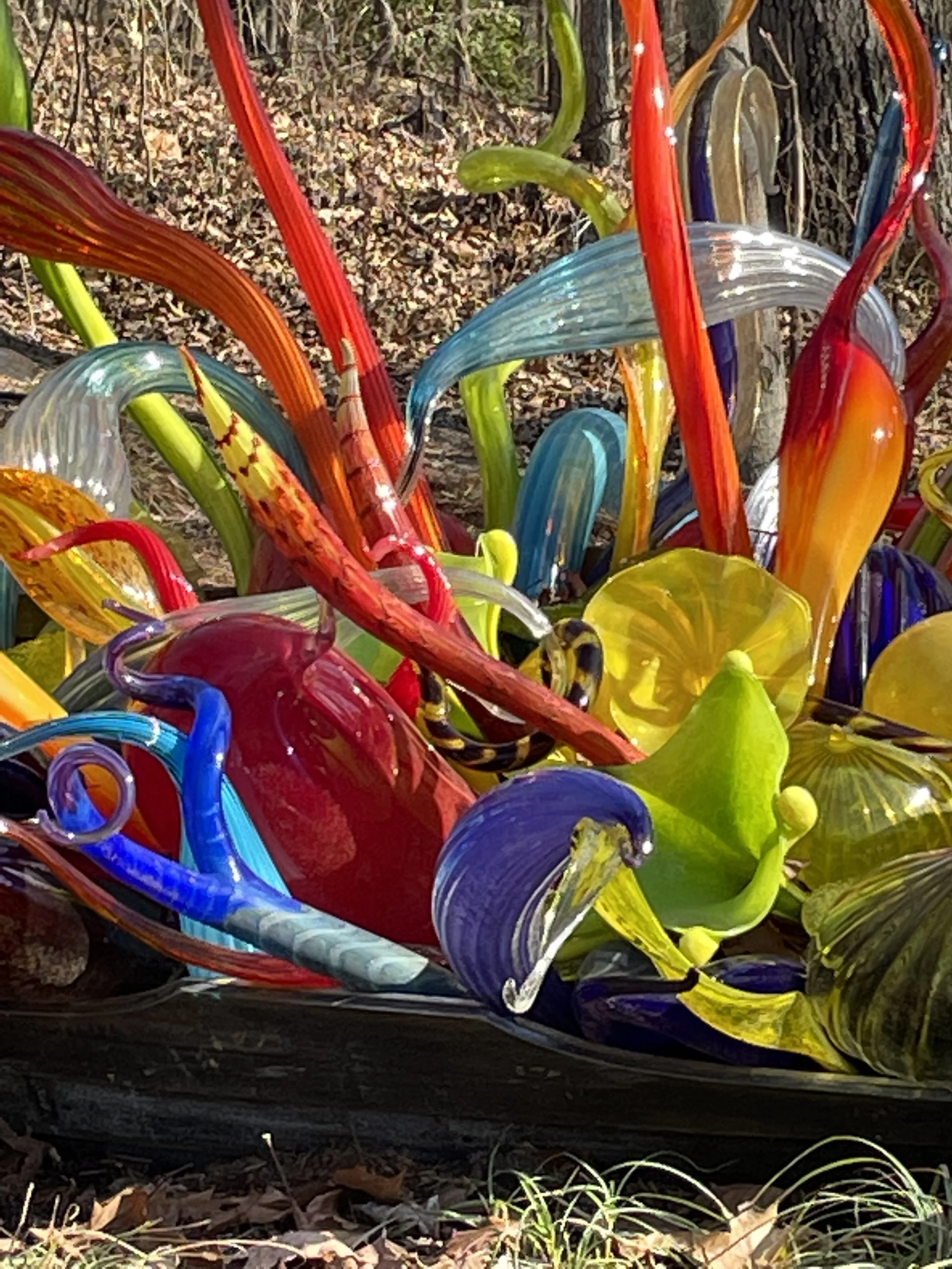 crystal bridges and bentonville, arkansas