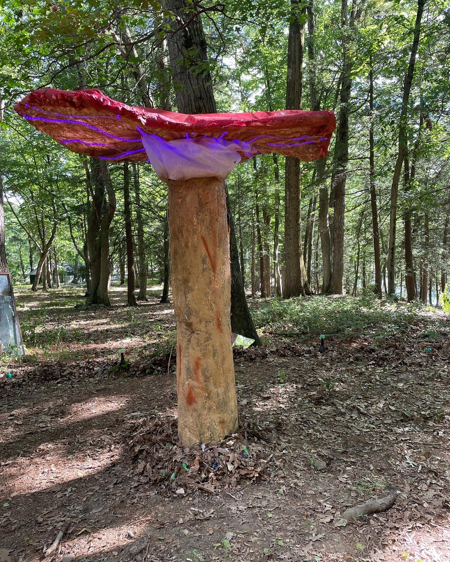 the giant mushroom