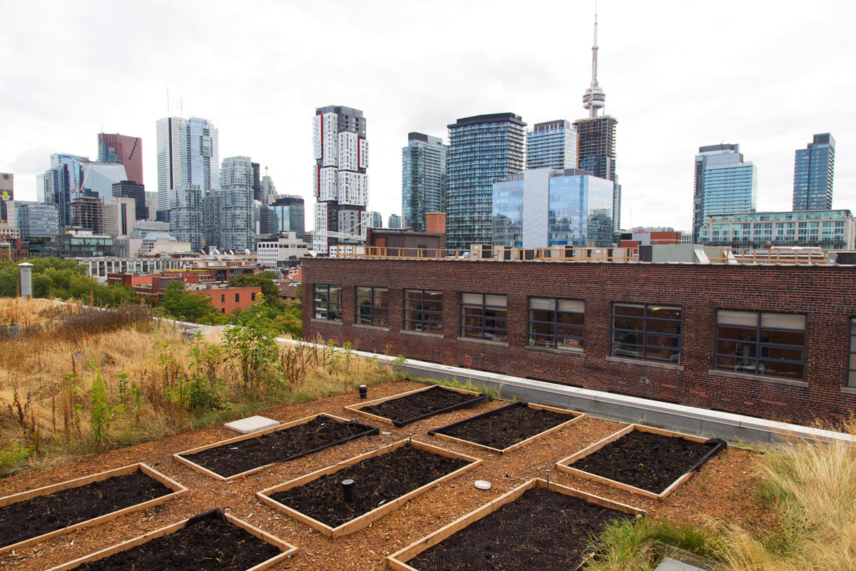 215Spadina.Selects-15-Web.jpg
