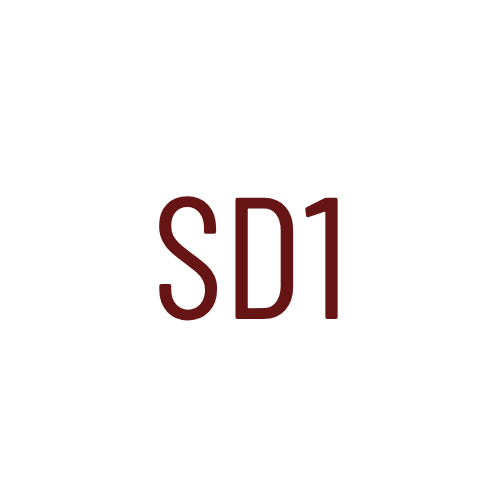 SARA D'ALESSIO MCCARTHY 