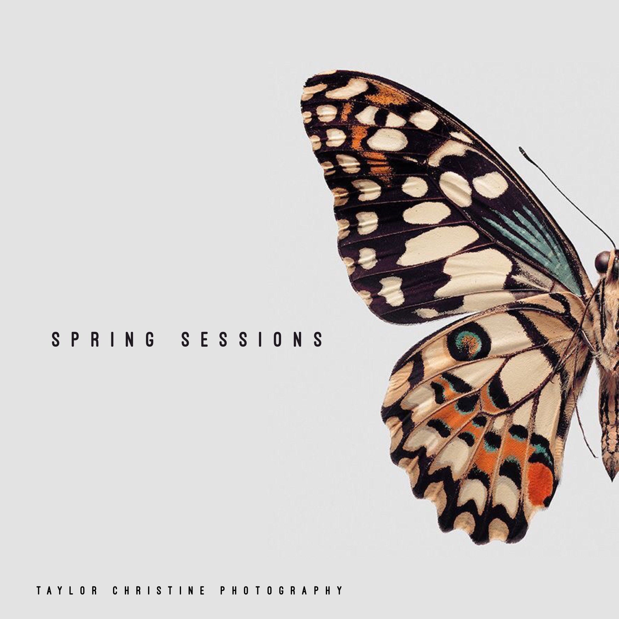 spring3 .jpg