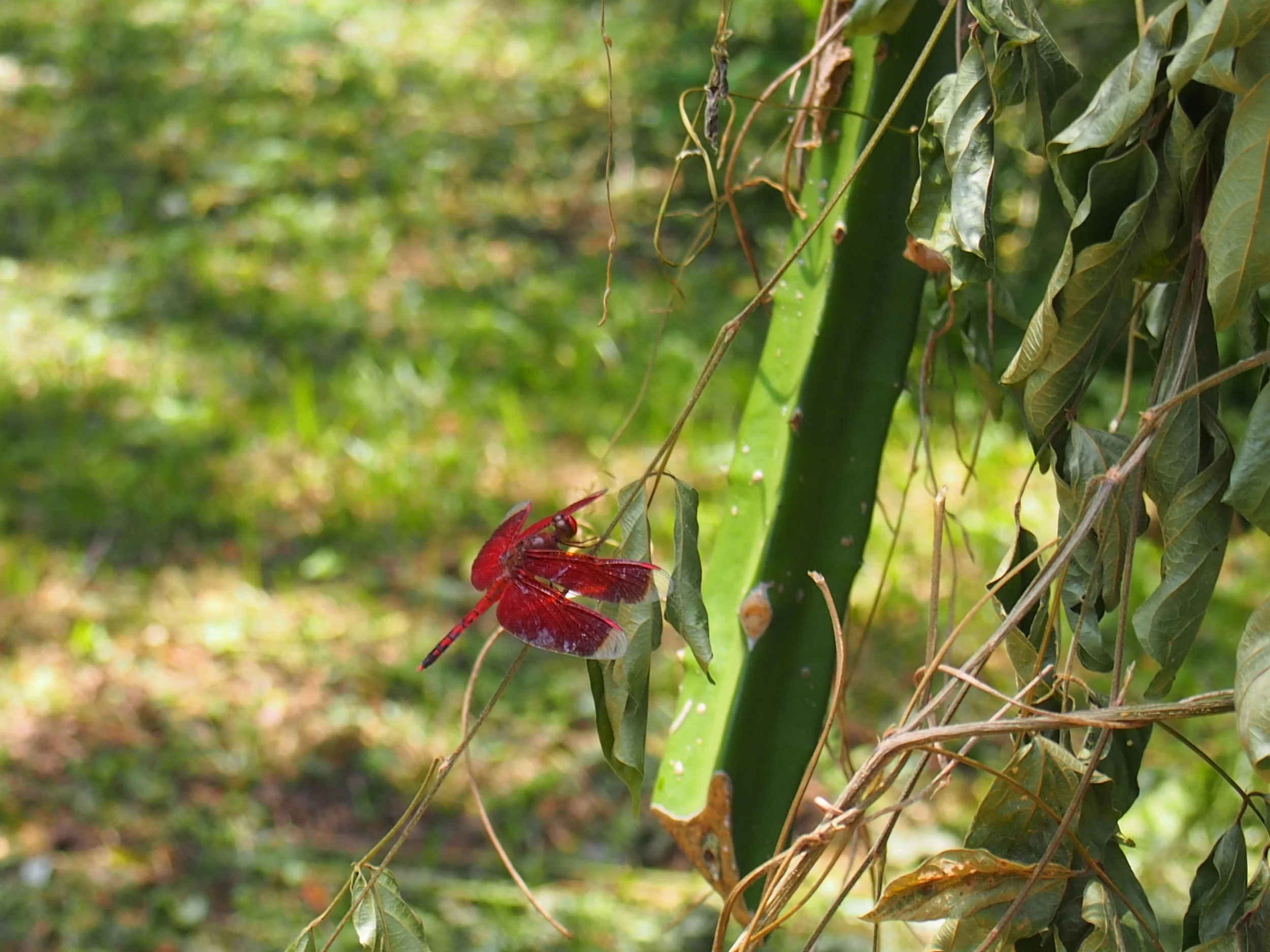 KAGAN PEOPLE; Hanggang sa muli. Insha’allah.