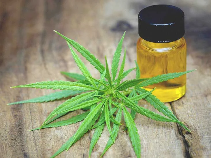 732x549_THUMBNAIL_CBD_Oil_for_Anxiety.jpg