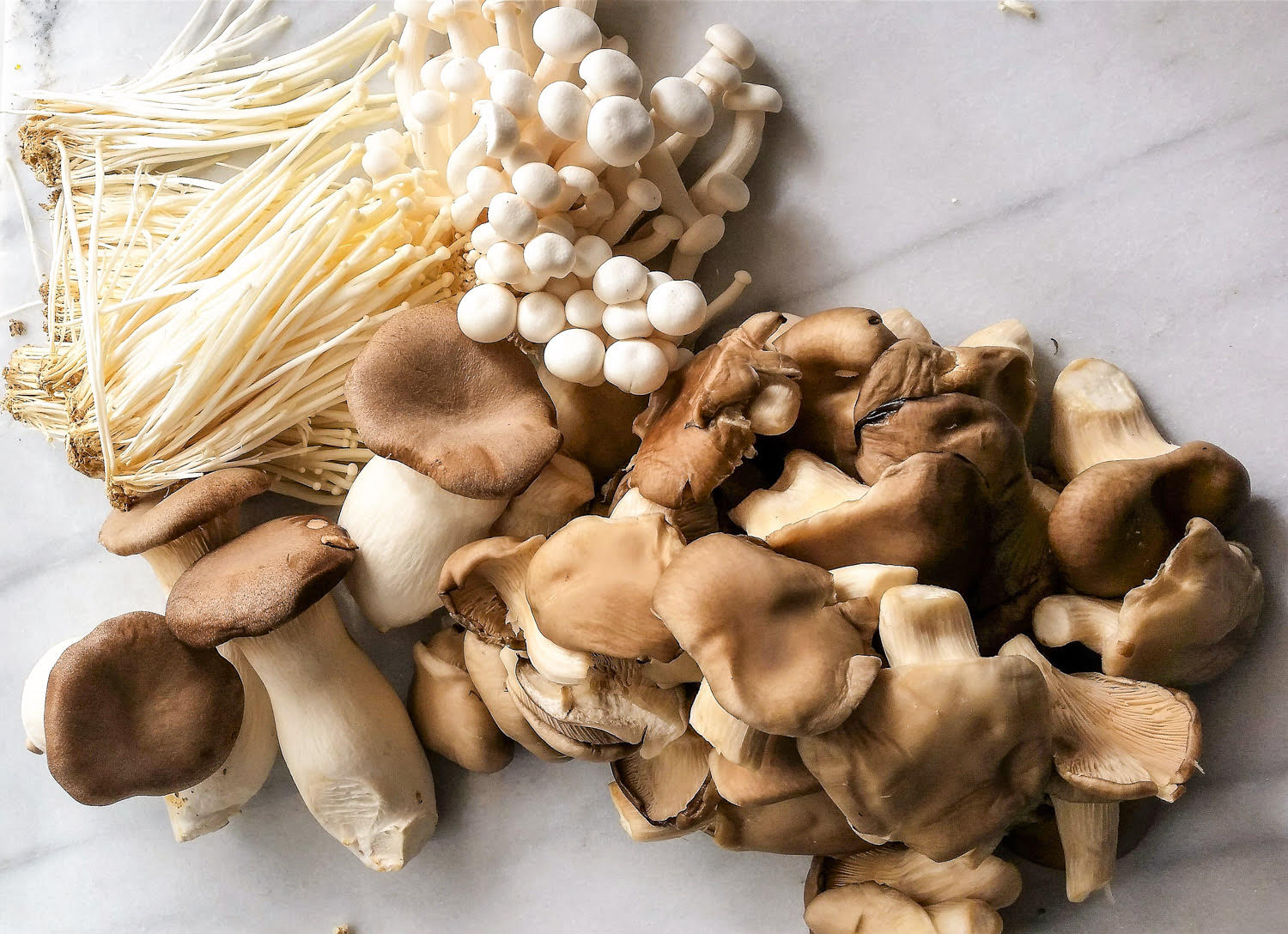 King Oyster Mushroom and Shimeji Mushroom and Shitake Mushroom O