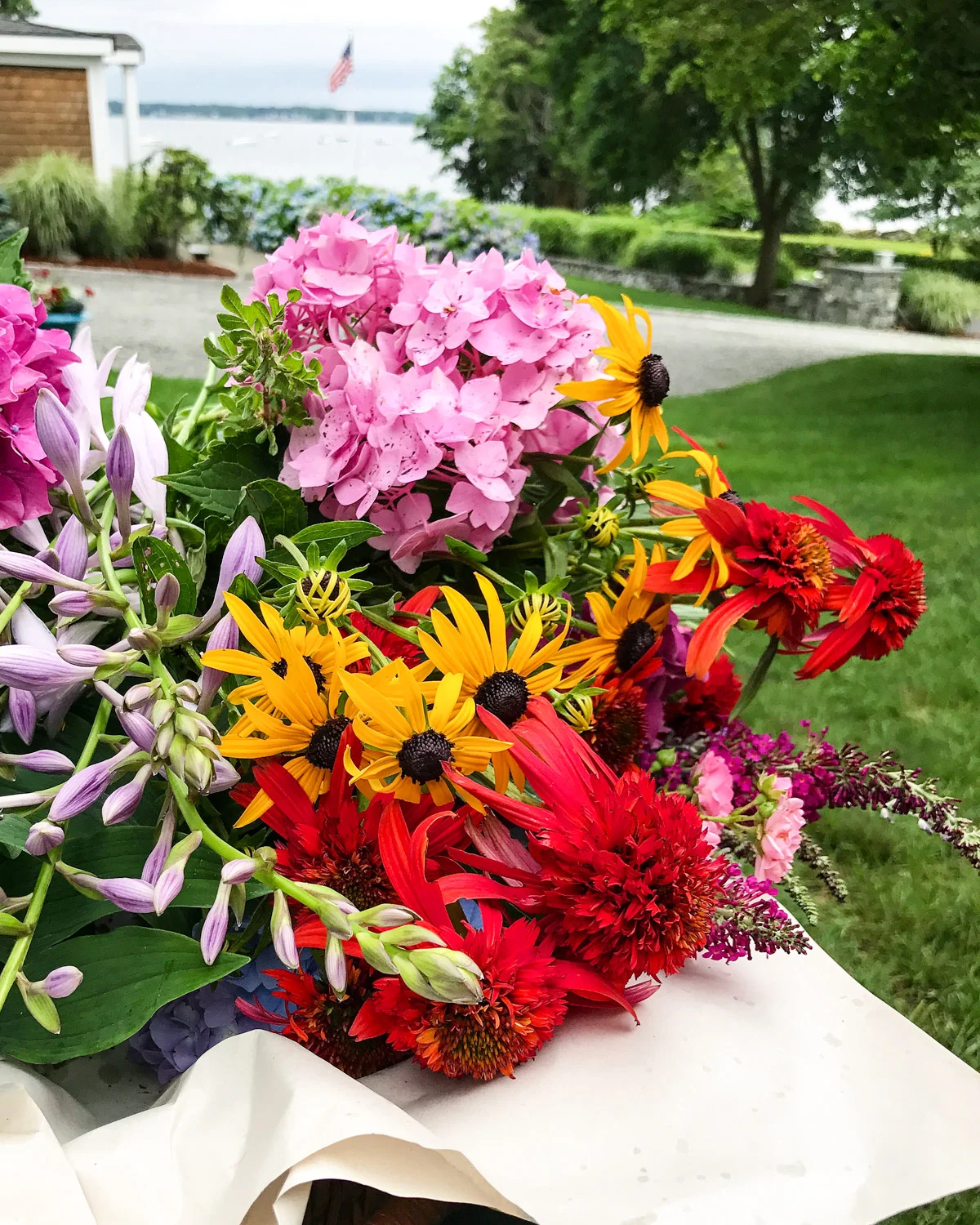 Summer flowers in Rhode Island.